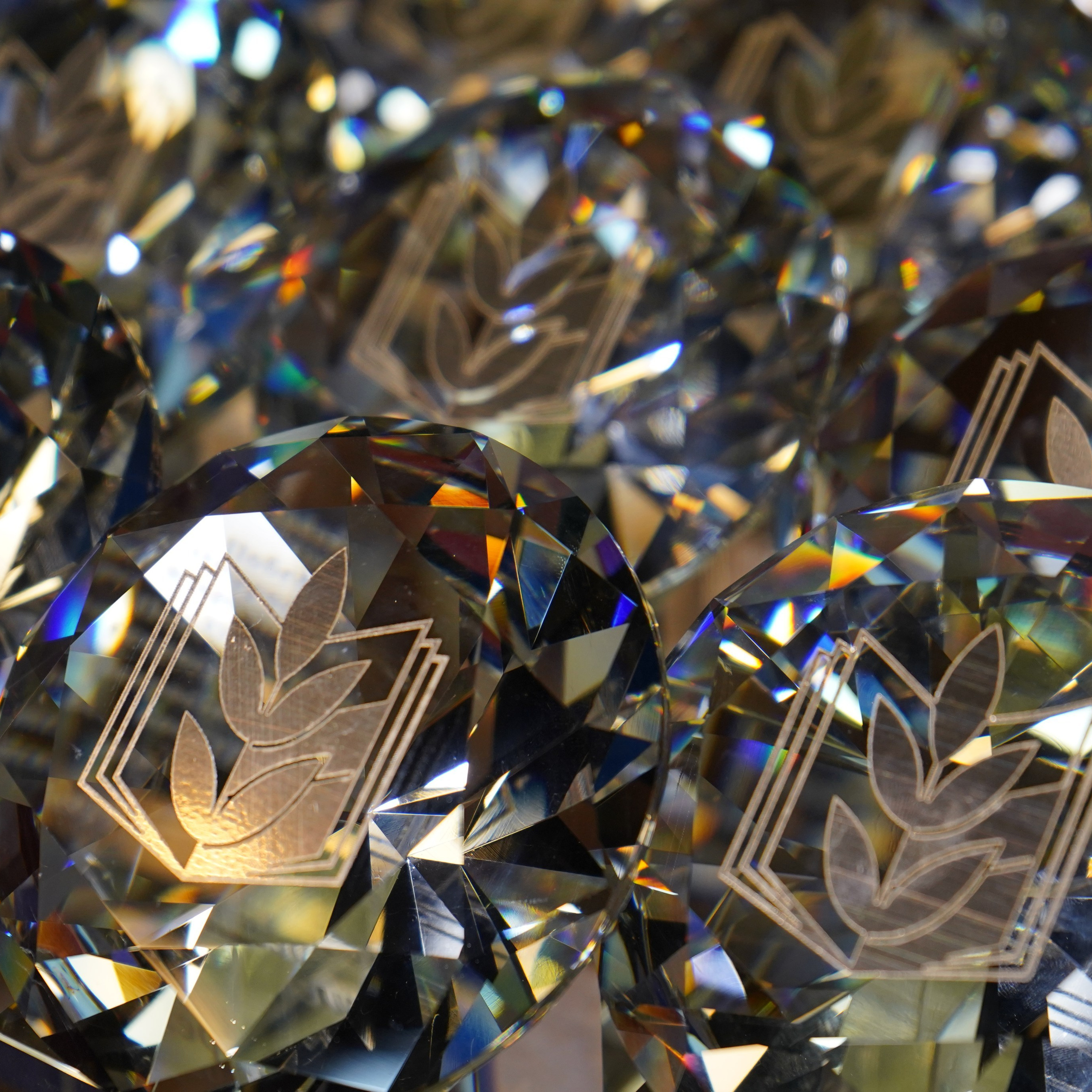 Конференция ЗОЖ. Галерея ПрофАС