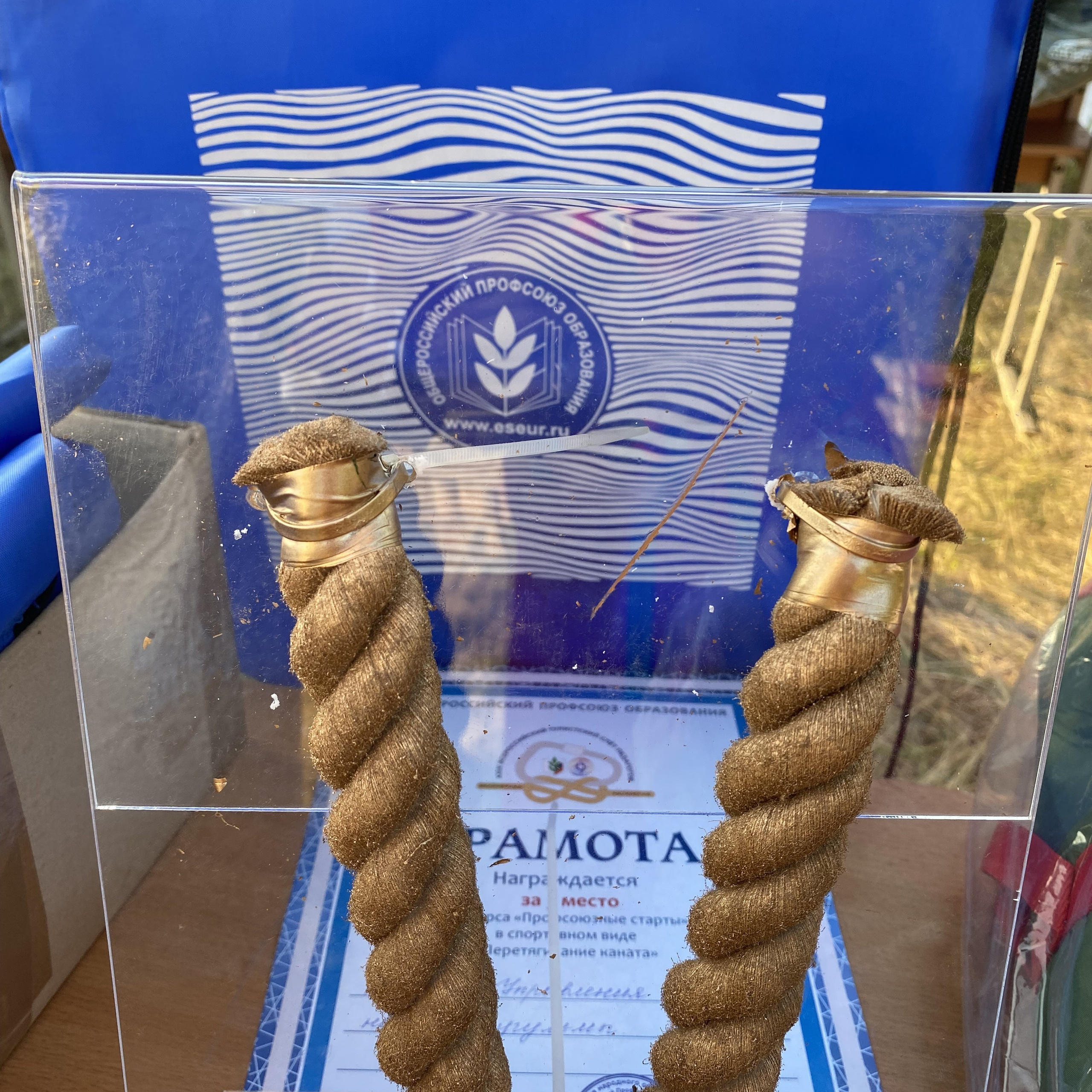 Турслет. Галерея ПрофАС