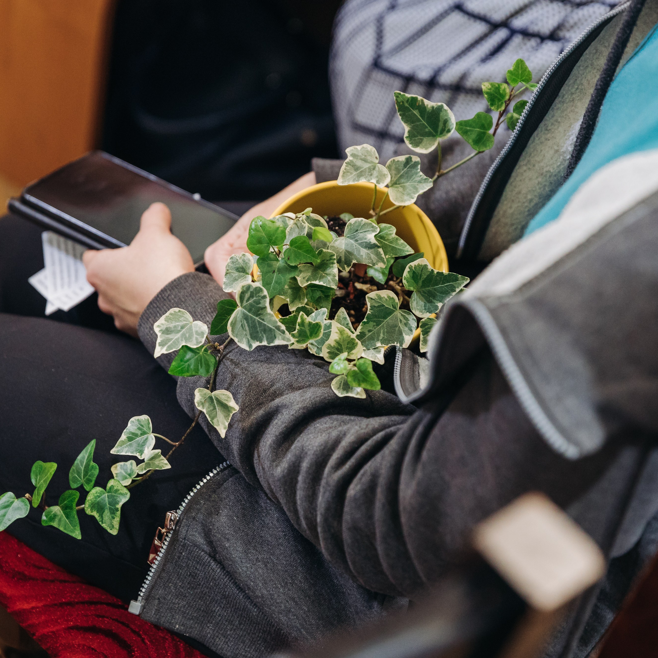 Всероссийская Олимпиада Мой первый учитель. Галерея ПрофАС