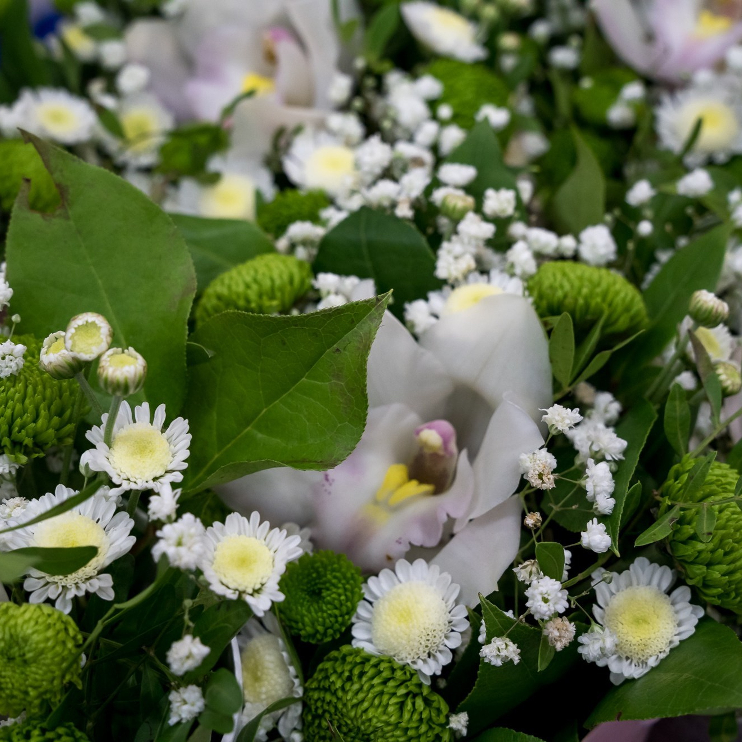 Конкурс Воспитатель года. Галерея ПрофАС