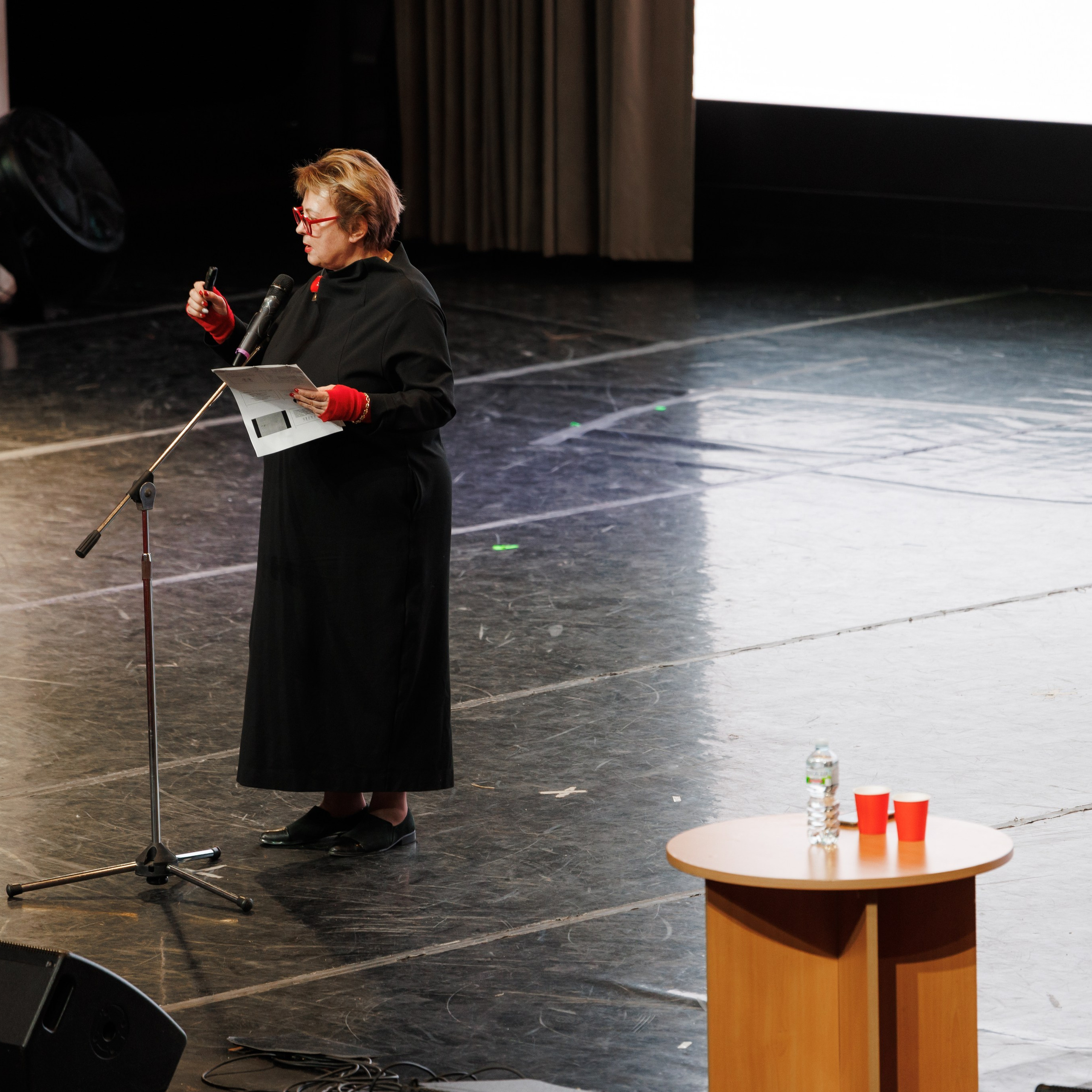 Всероссийский фестиваль «Виват, таланты!». Галерея ПрофАС