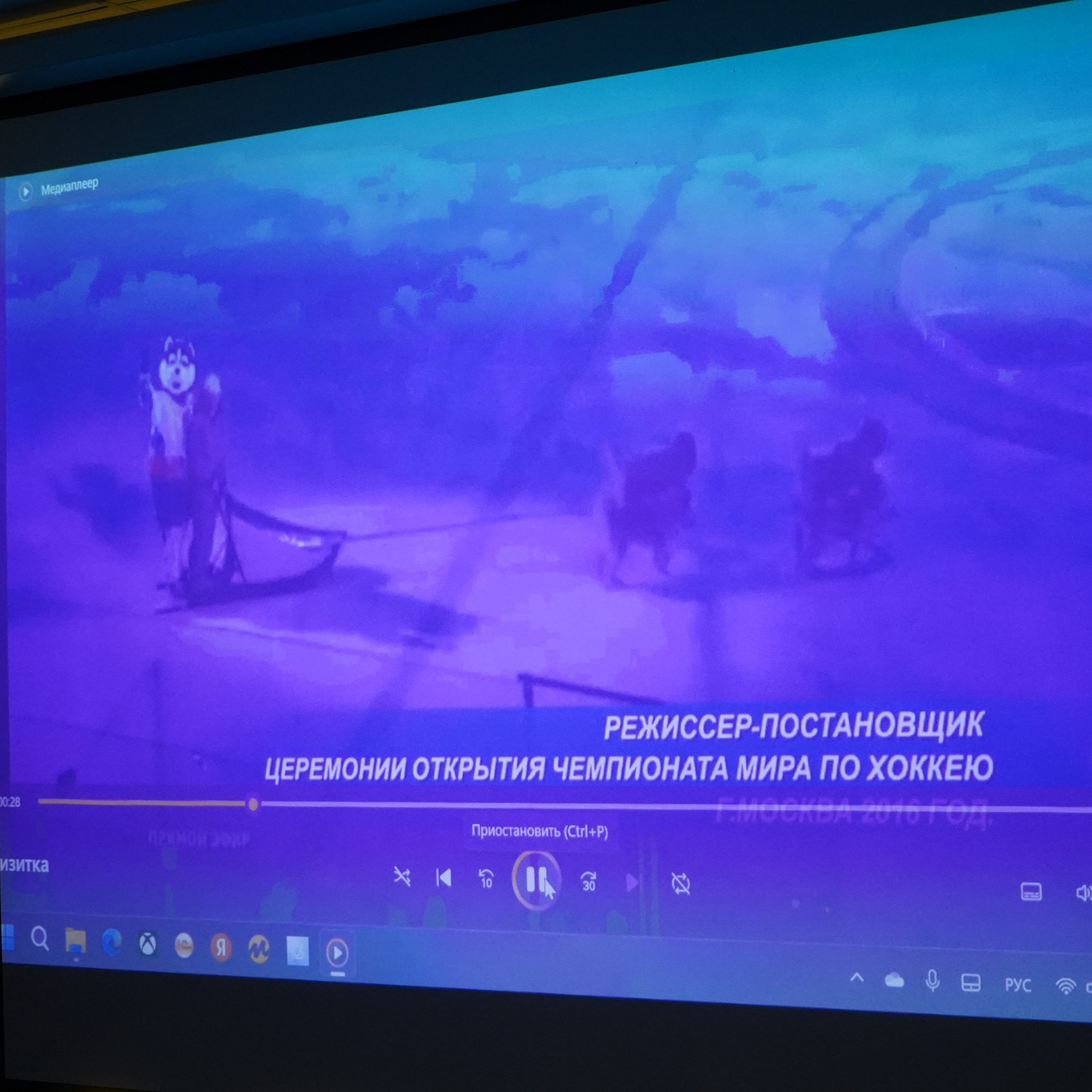 Форум-фестиваль «ПРОдвижение ЗОЖ». Галерея ПрофАС