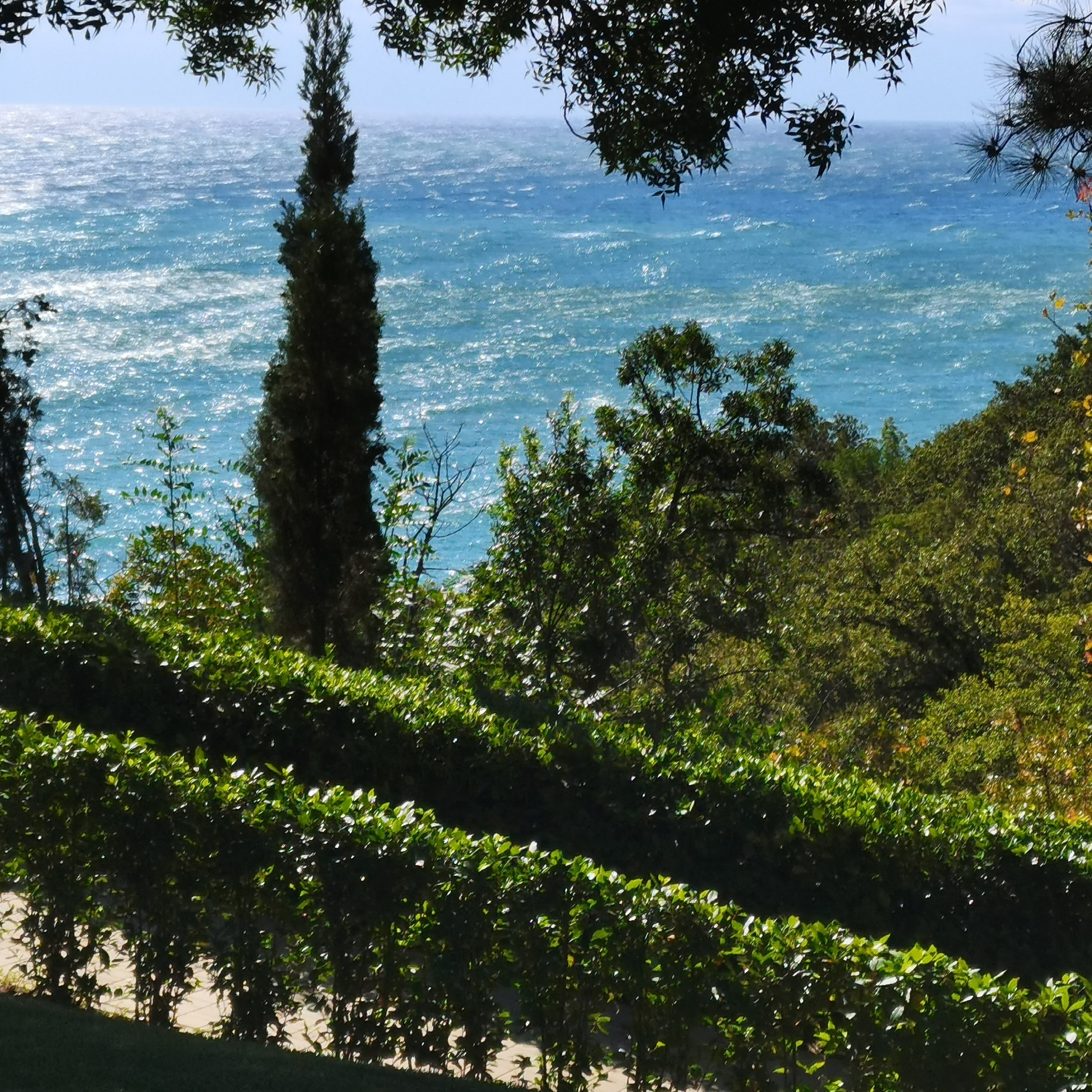 МДЦ Артек Другая школа. Галерея ПрофАС