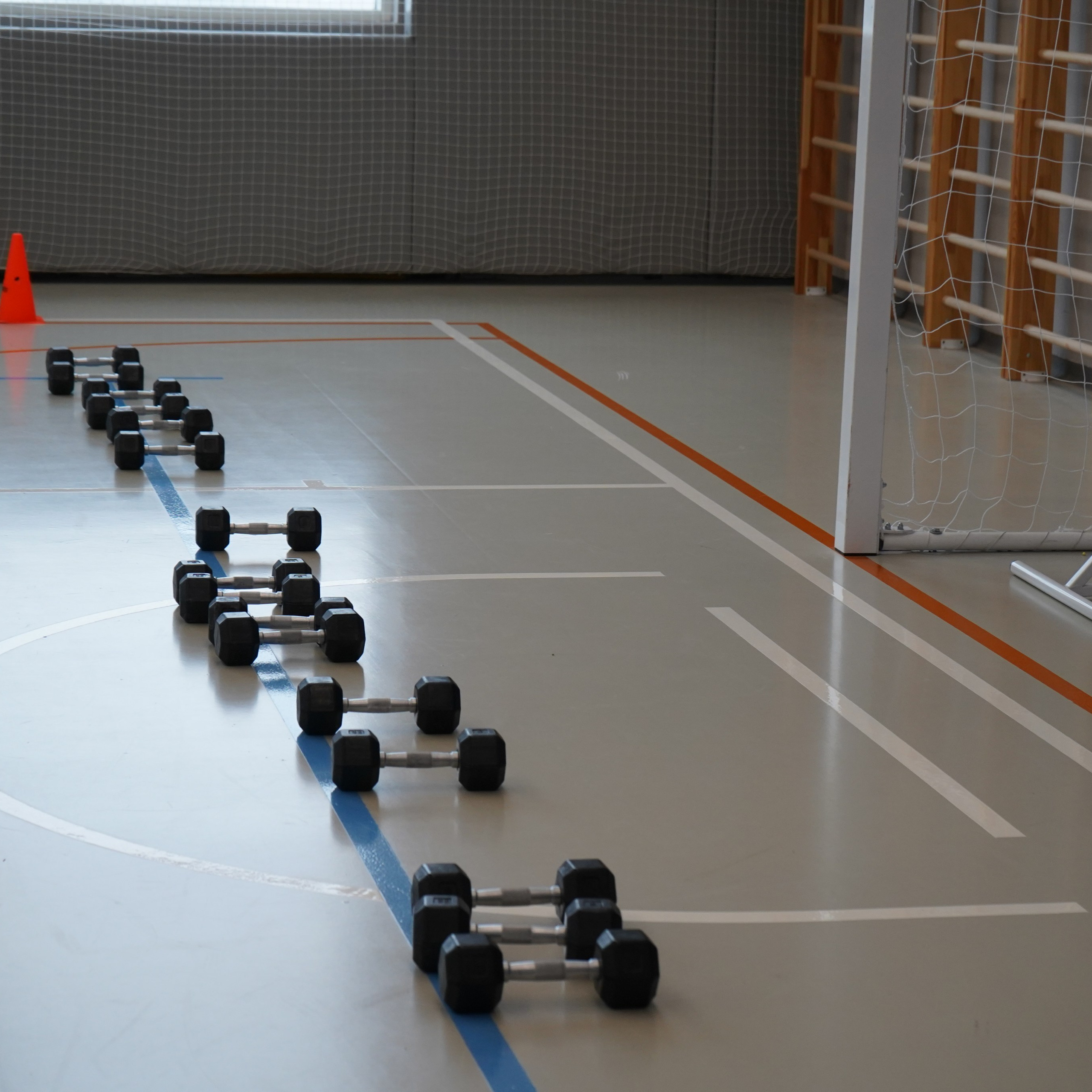 Форум-фестиваль «ПРОдвижение ЗОЖ». Галерея ПрофАС