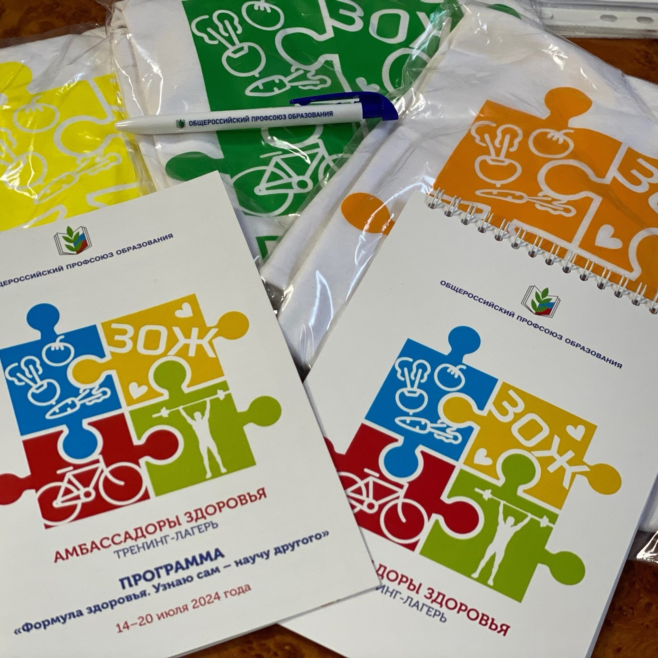 Тренинг-лагерь «Амбассадоры здоровья». Галерея ПрофАС