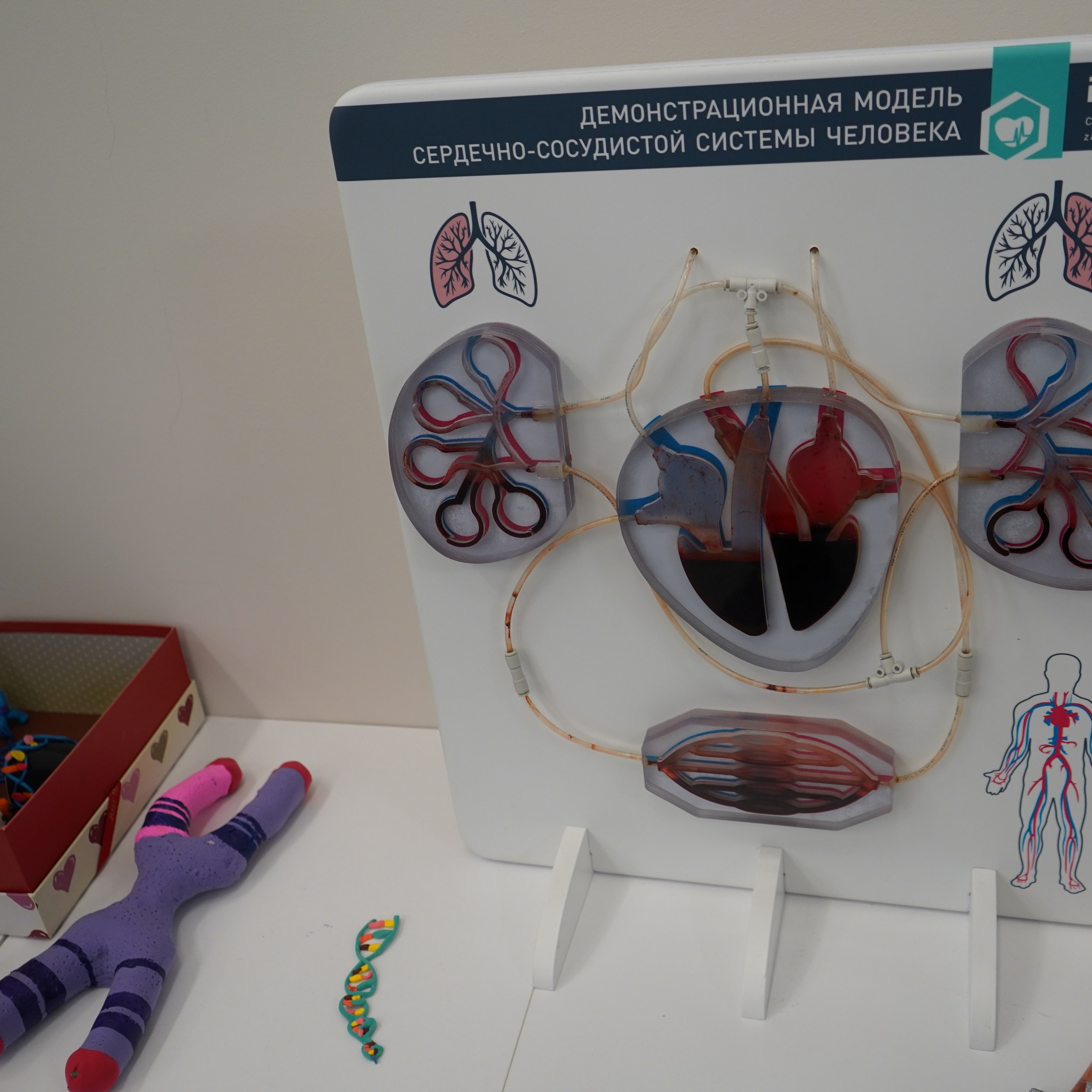 Форум-фестиваль «ПРОдвижение ЗОЖ». Галерея ПрофАС