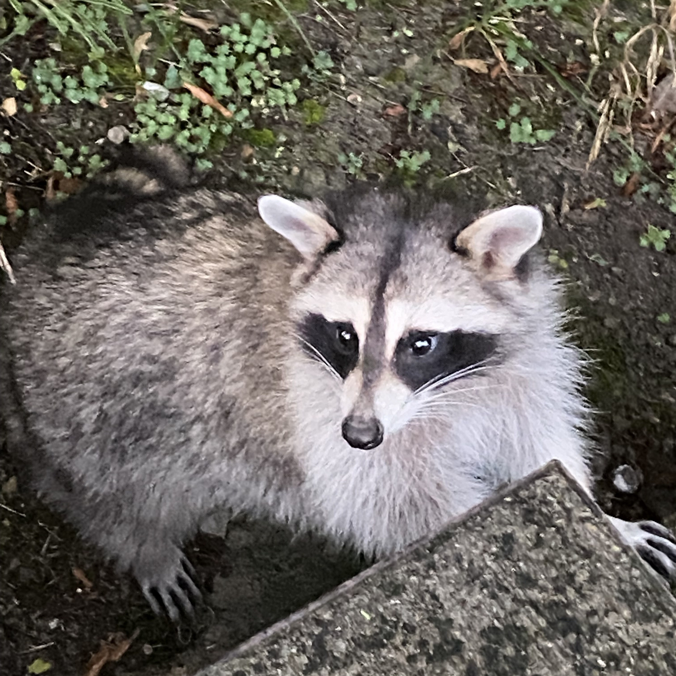 Тренинг лагерь. Галерея ПрофАС