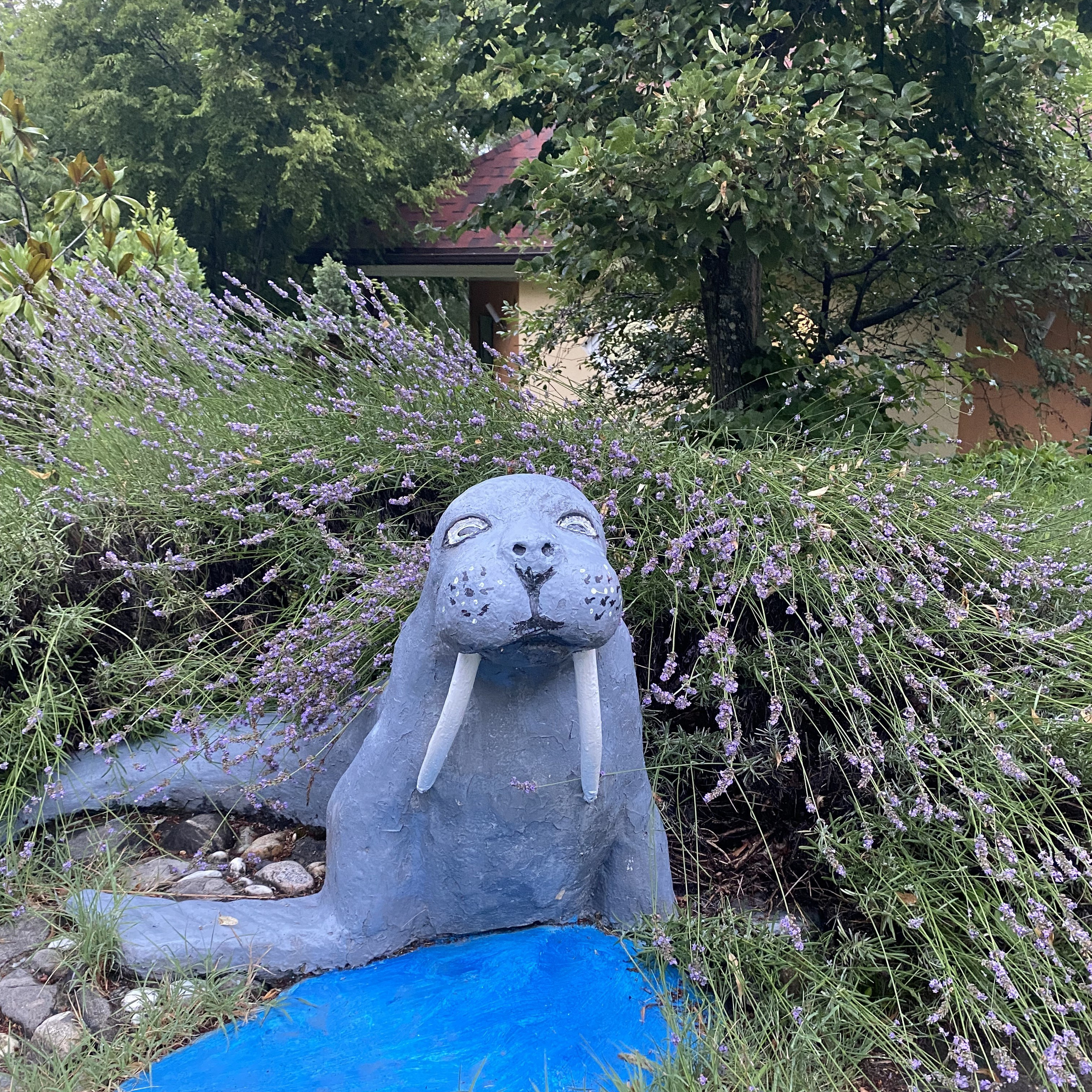 Тренинг лагерь. Галерея ПрофАС