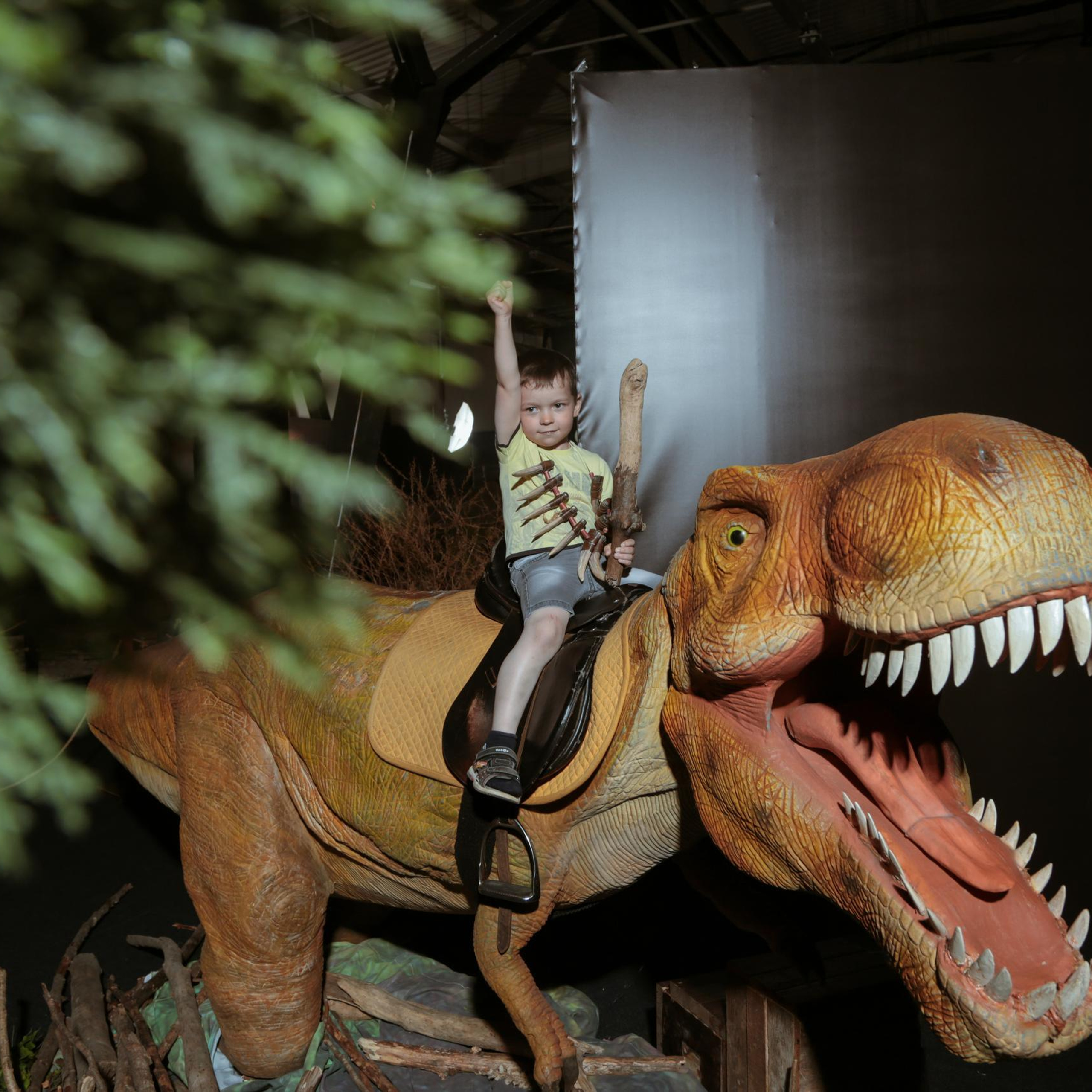 Отзывы. Фотограф в Сочи Юрий Шептаев