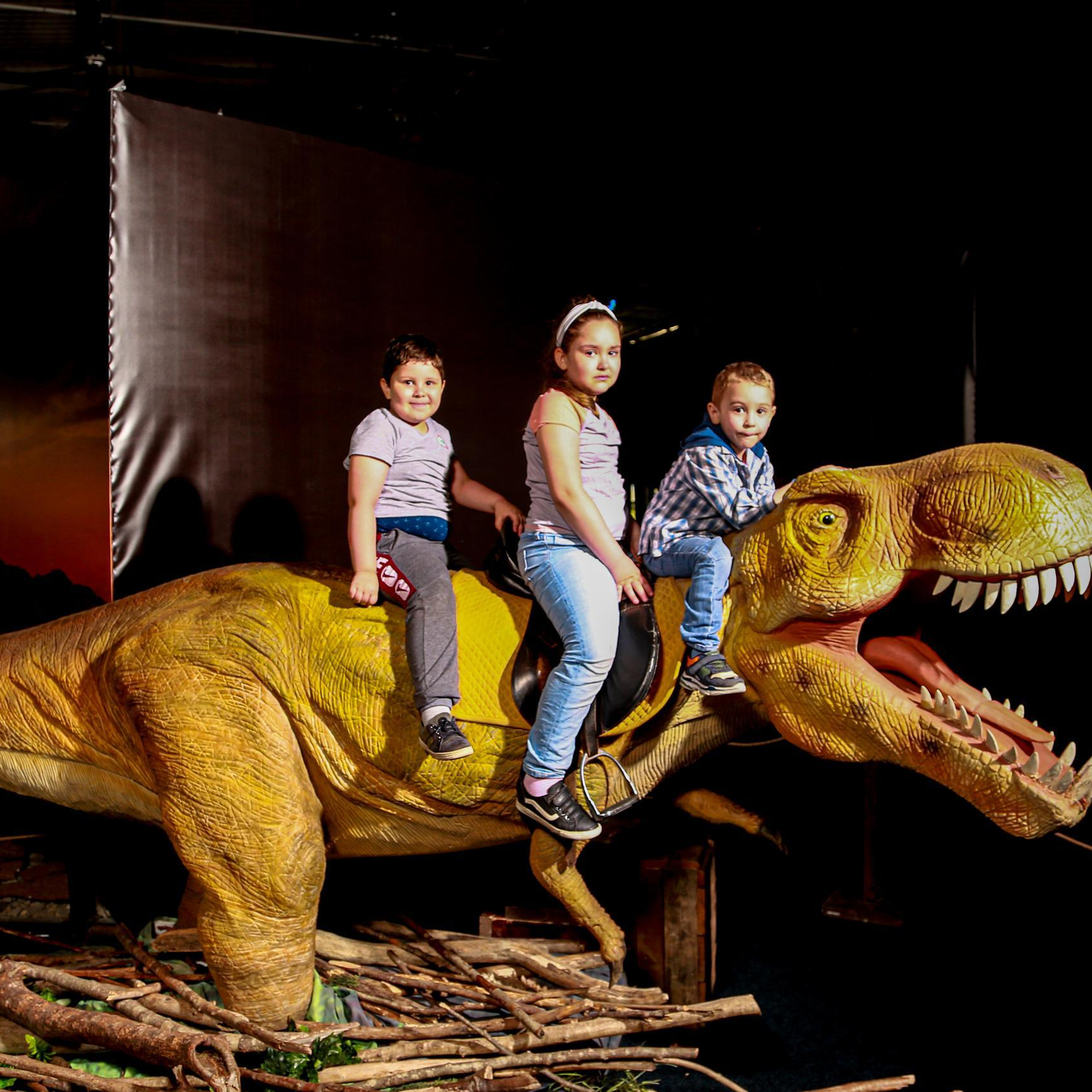 Отзывы. Фотограф в Сочи Юрий Шептаев