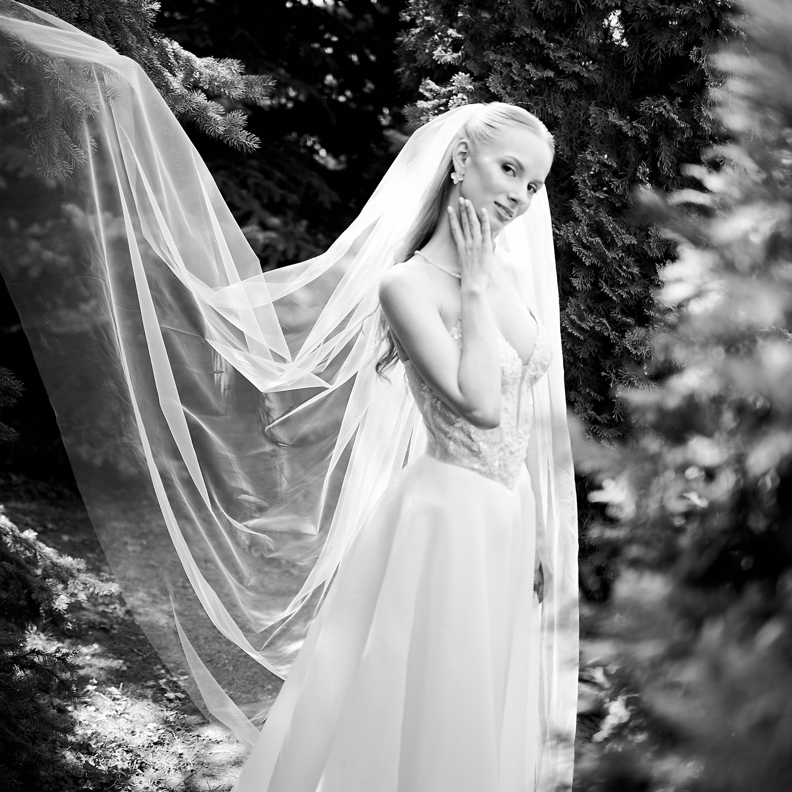 Elizaveta & Vladimir 08/08/26