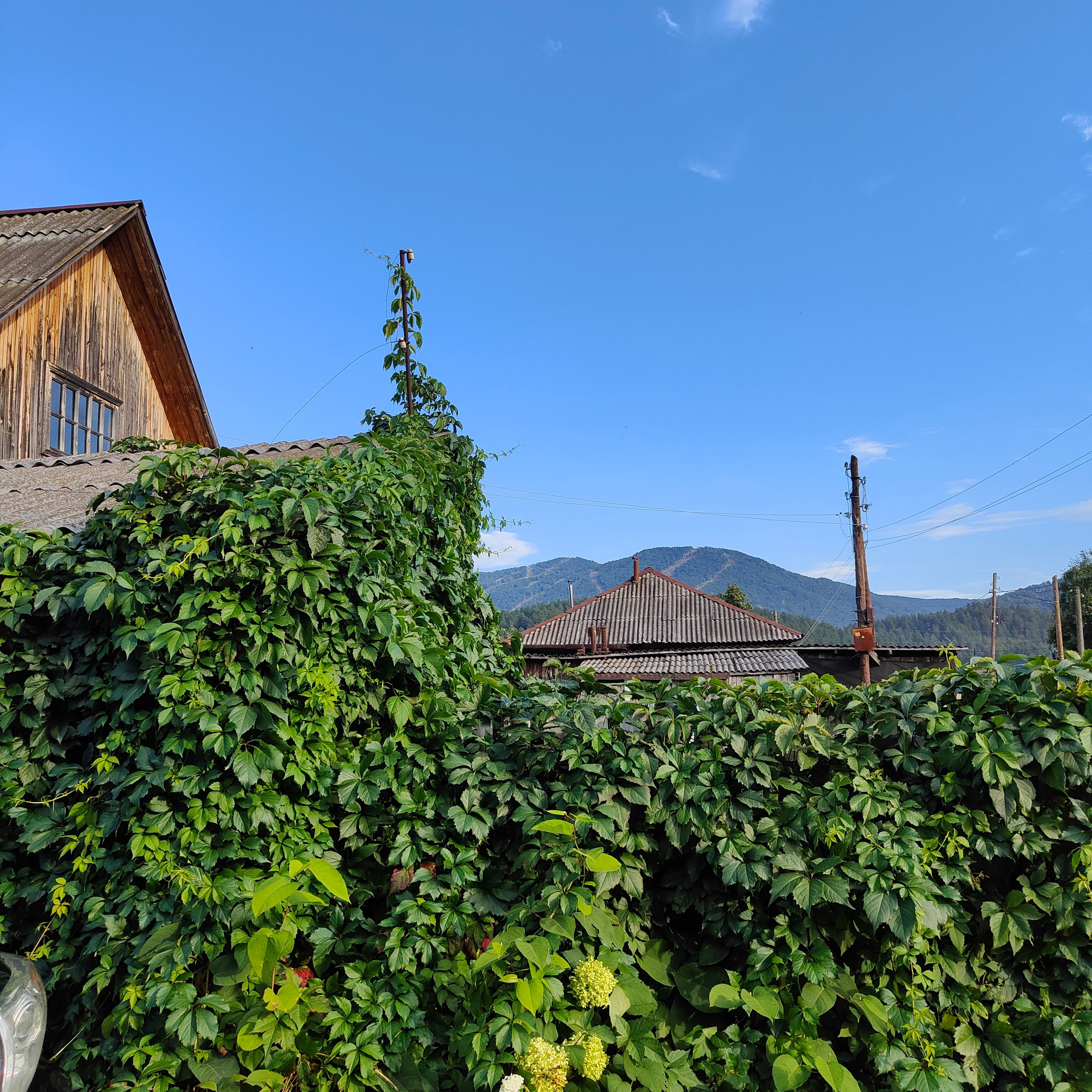 По знакомым местам Чемальского тракта. Фотограф-документалист Мария Осокина