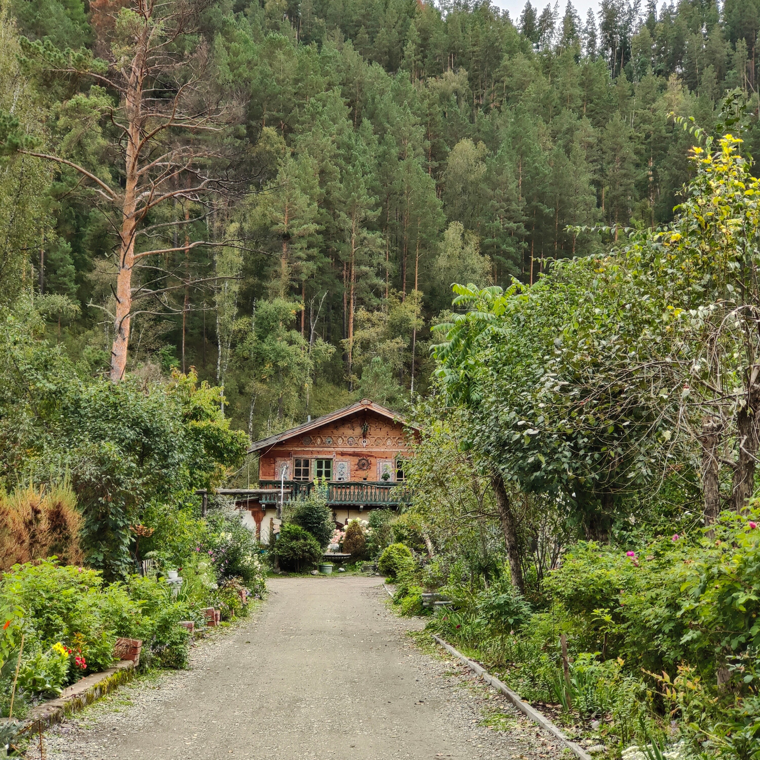 Зубы Дракона и солнечный подарок. Сад пионов. Фотограф-документалист Мария Осокина