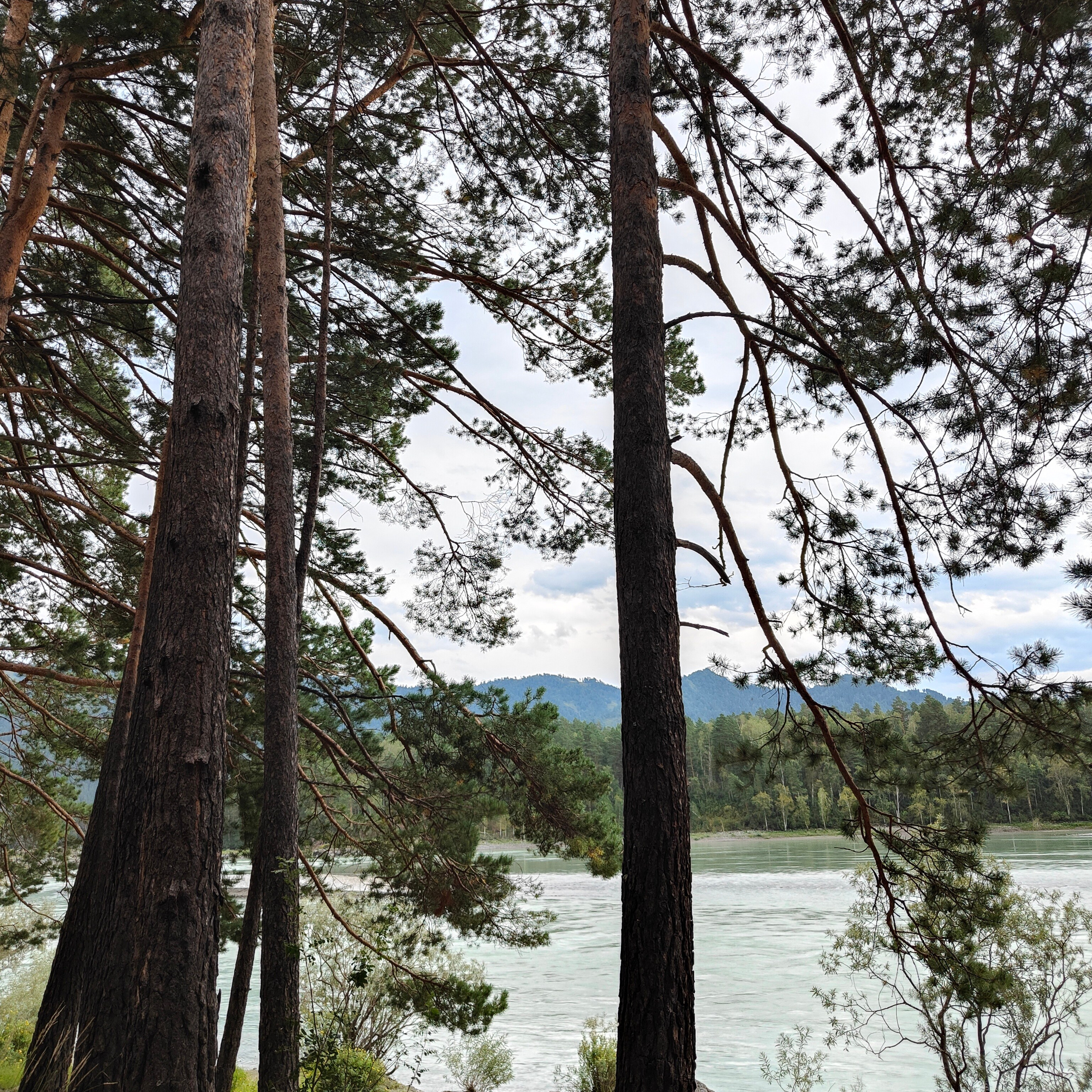 По знакомым местам Чемальского тракта. Фотограф-документалист Мария Осокина