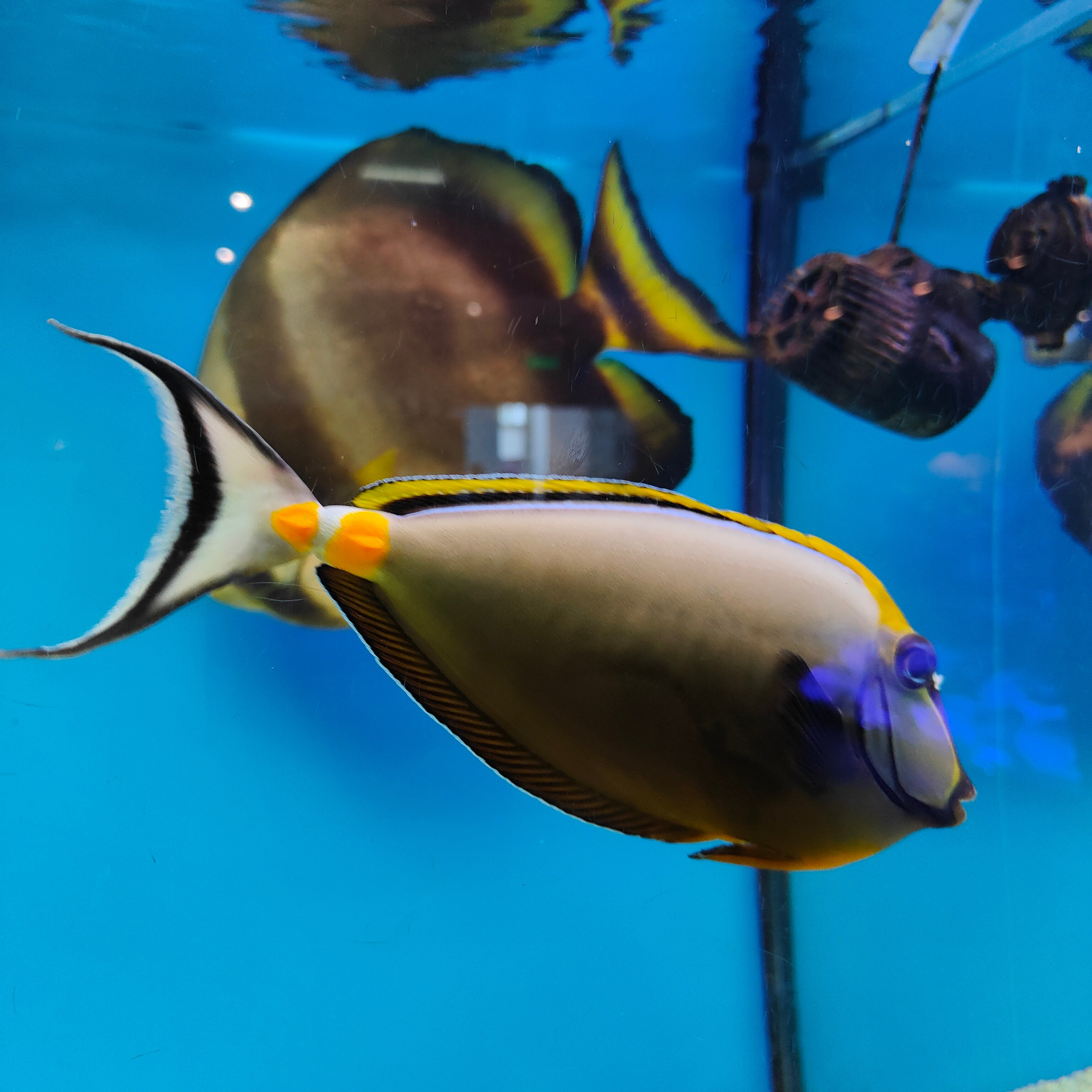 Культурная программа в дождливый день. Фотограф-документалист Мария Осокина