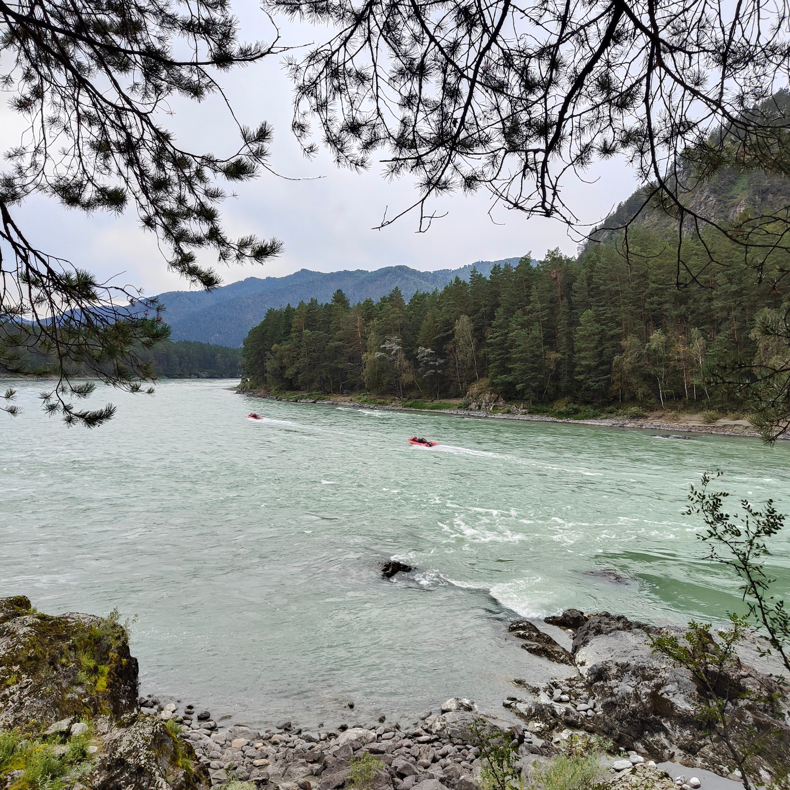 Панорамы Катуни и река Сема в Ботаническом саду. Фотограф-документалист Мария Осокина