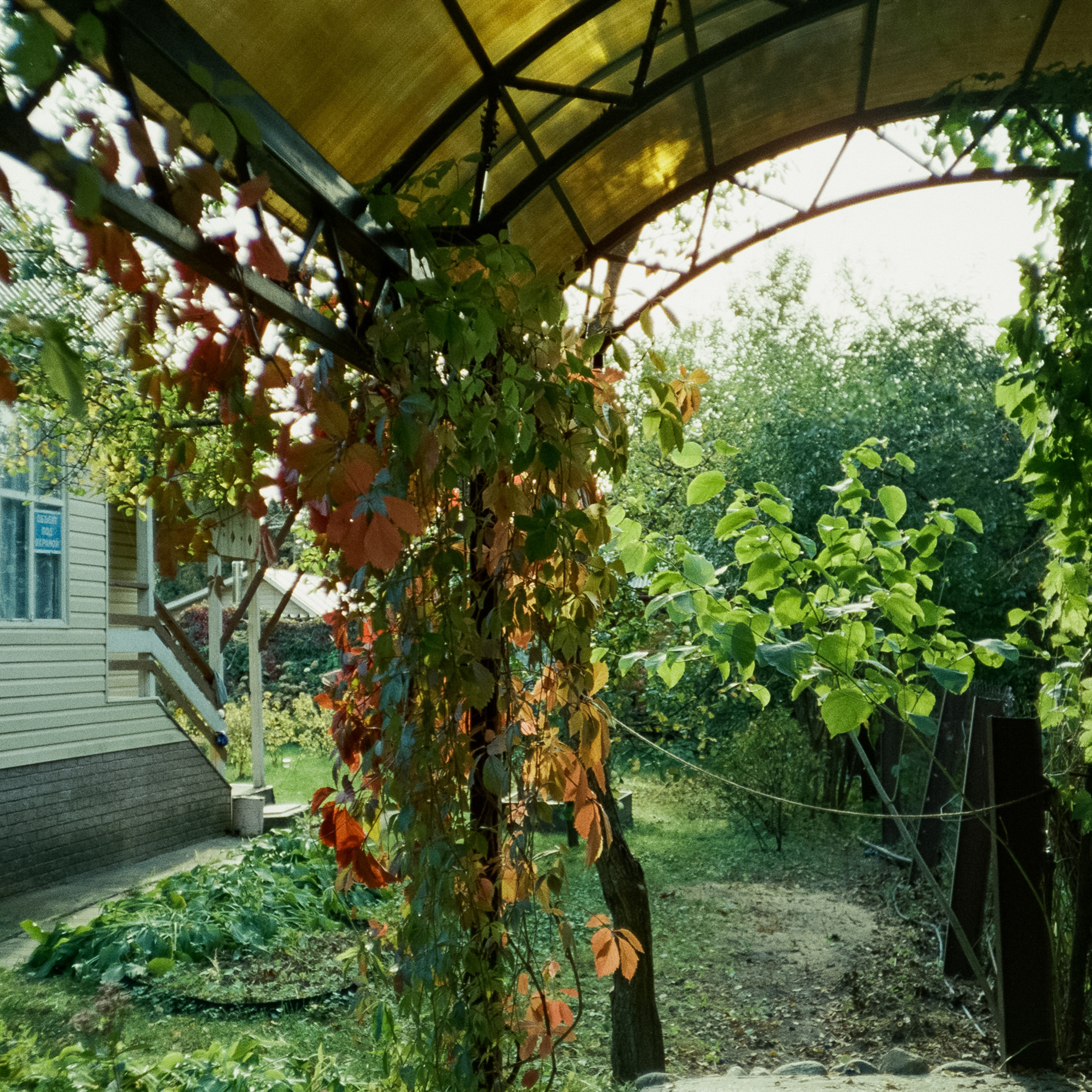 Наша дача и прогулка по садоводству. Золотая осень