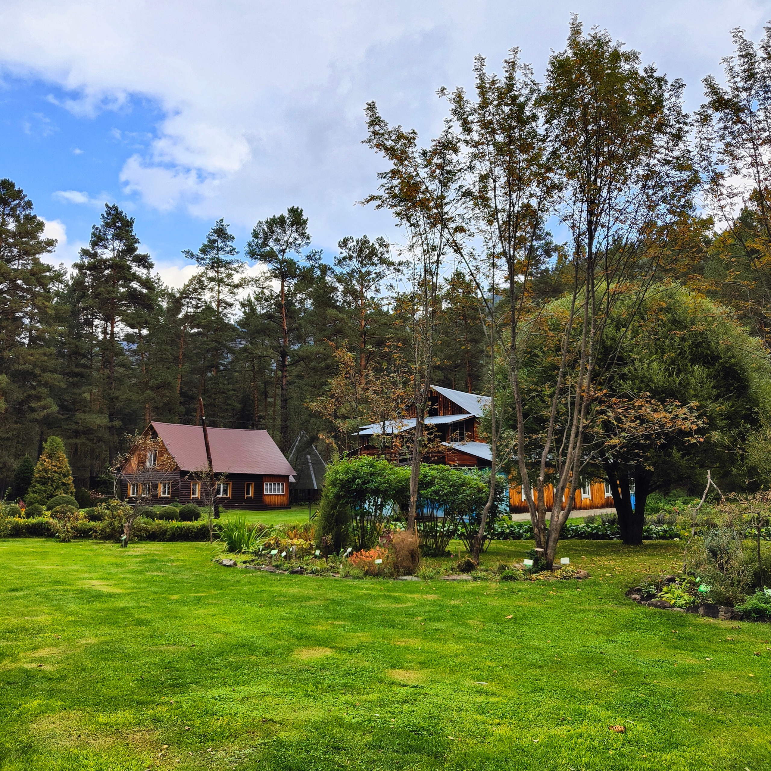 Ловим солнце, от Чемала до Камлака. Утренняя Катунь и осенний Ботанический сад. Фотограф-документалист Мария Осокина
