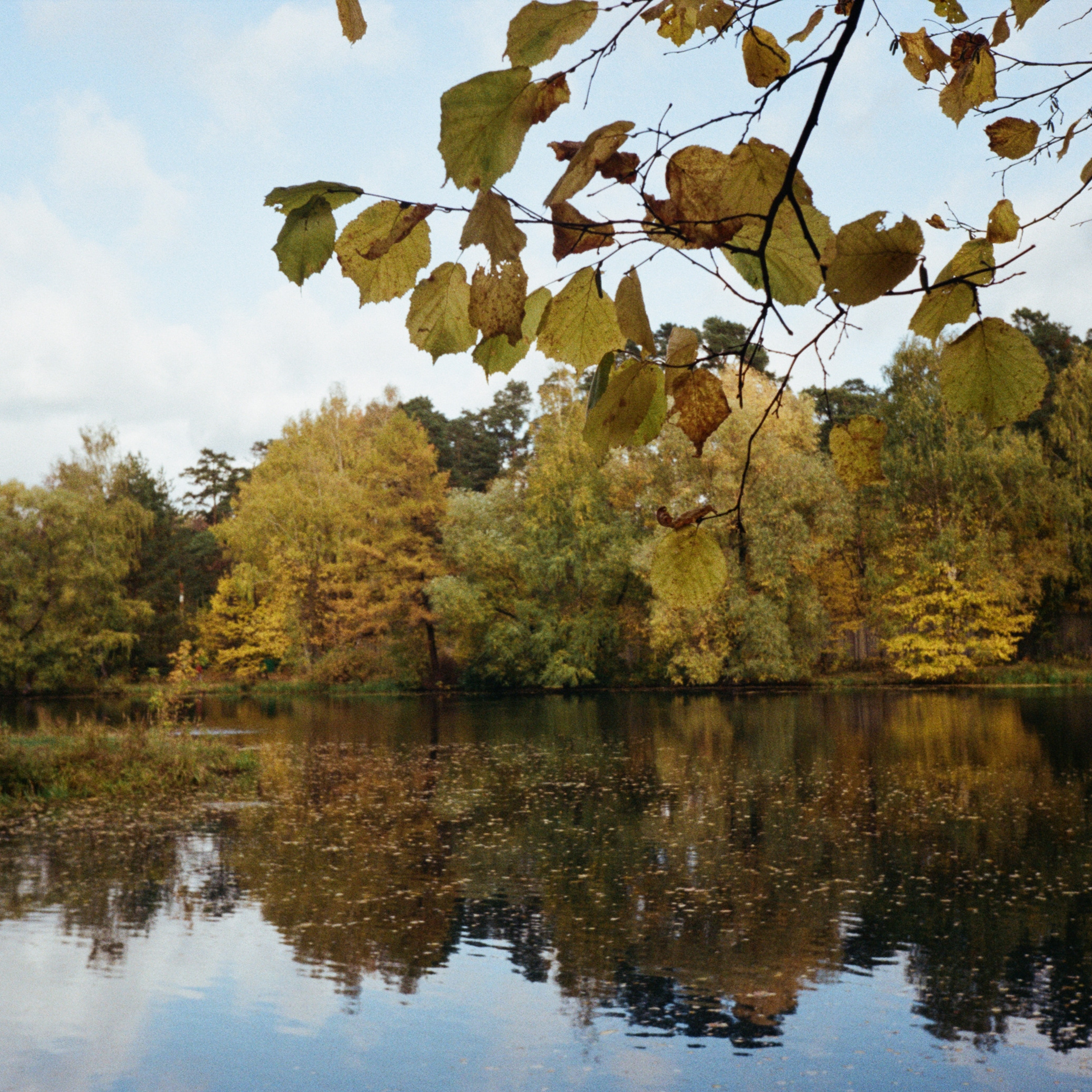 Серебряный Бор. Октябрь