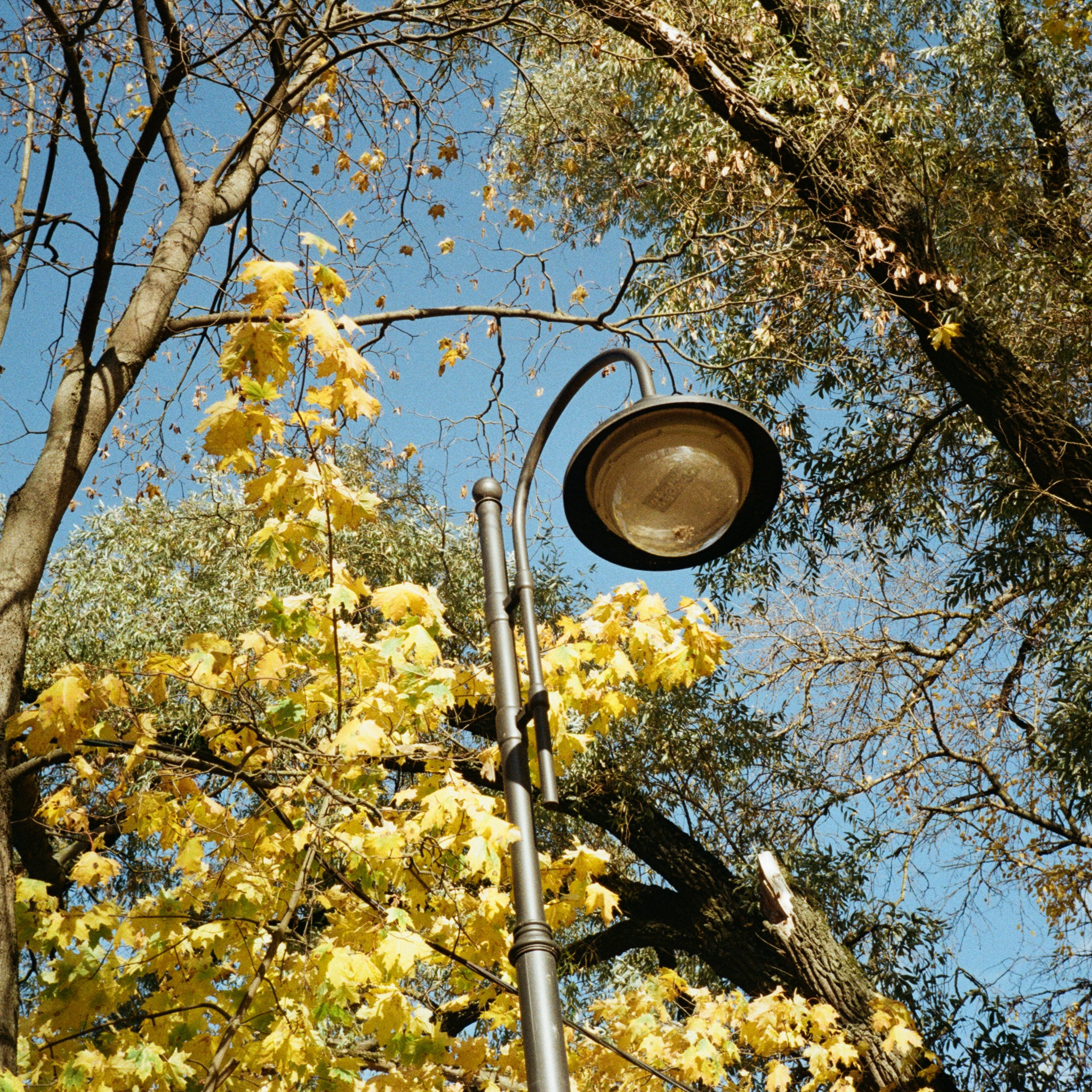 Архангельское. Золотая осень