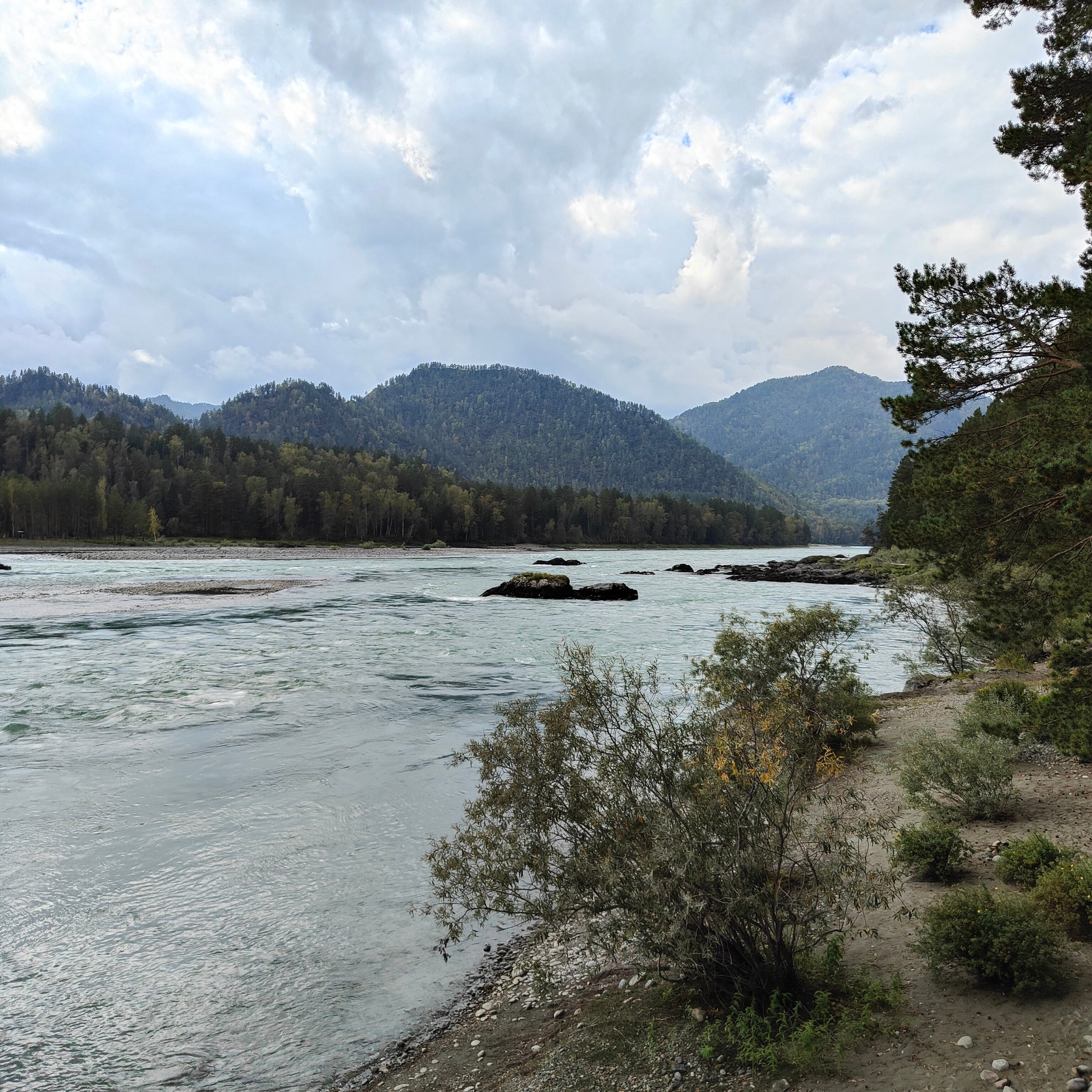 Ловим солнце, от Чемала до Камлака. Утренняя Катунь и осенний Ботанический сад. Фотограф-документалист Мария Осокина