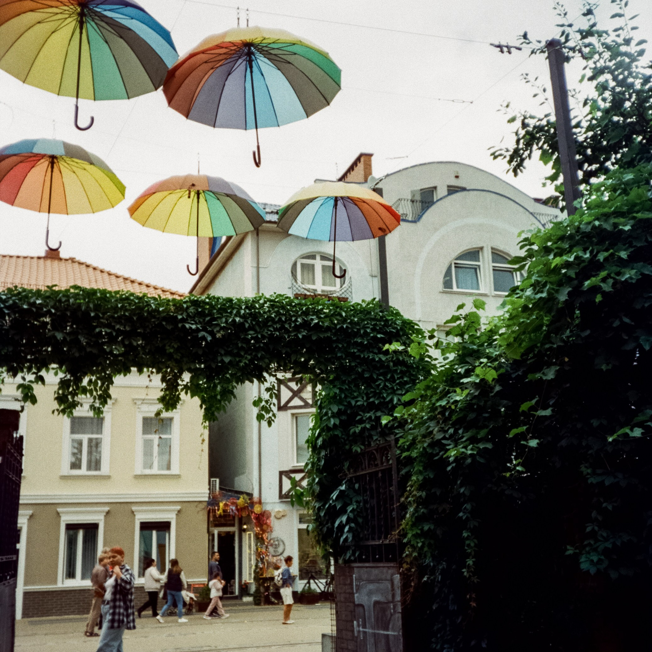 Safe Coffee, Зеленоградск