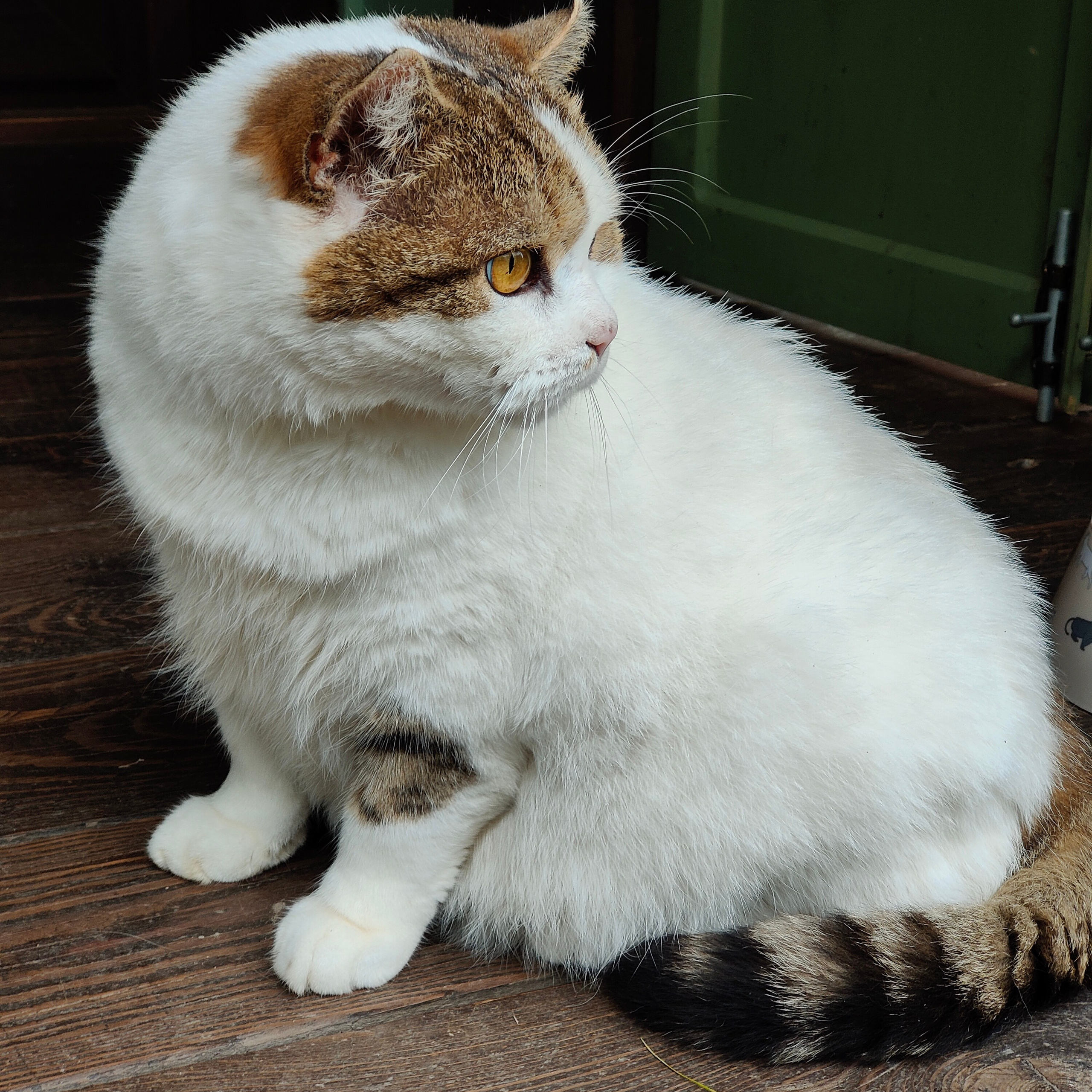 Курорт Манжерок, поход к Золотой Бабе и кофе в Берендеевке. Фотограф-документалист Мария Осокина