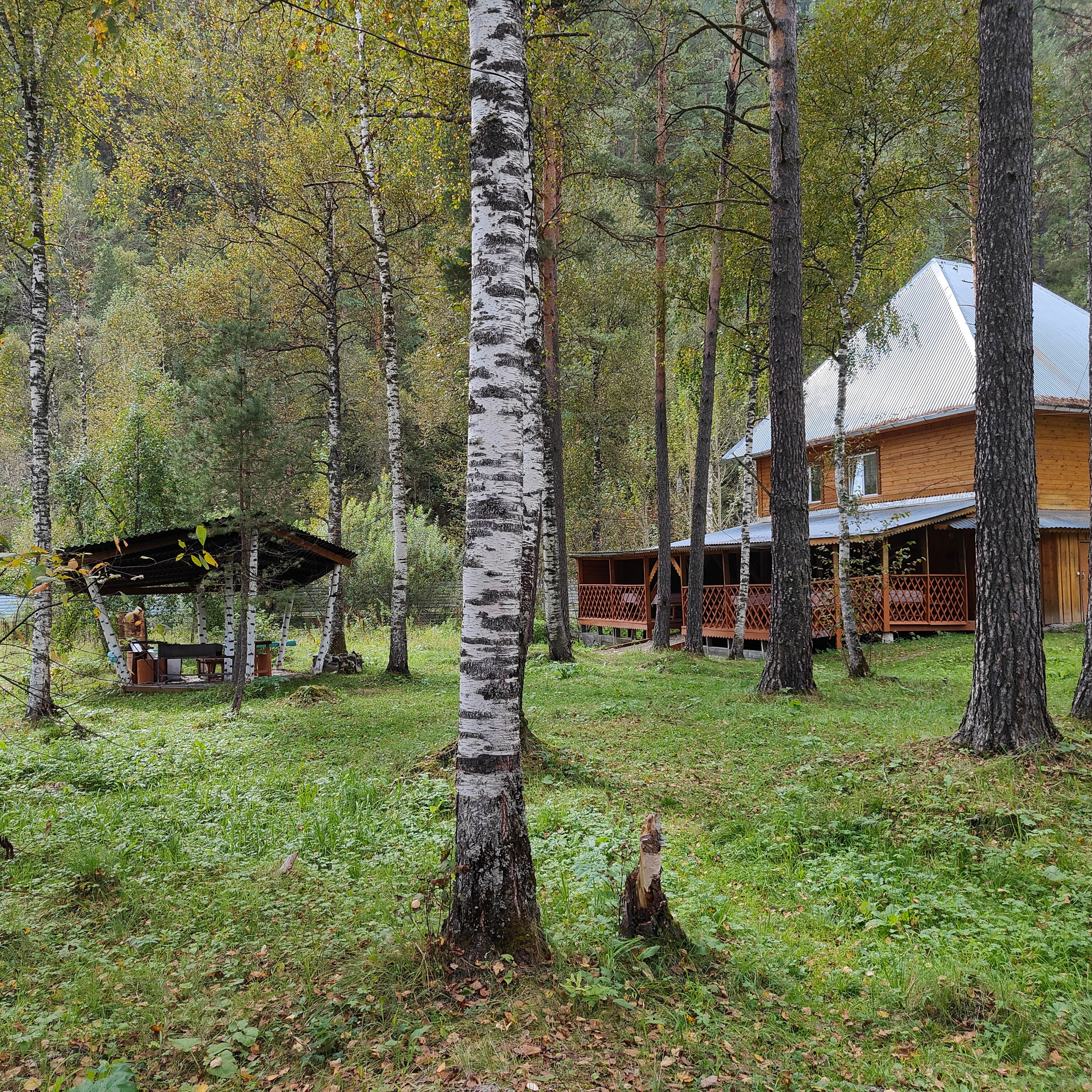 По Чемальскому тракту от Кедрового острова до реки Куюм. Фотограф-документалист Мария Осокина