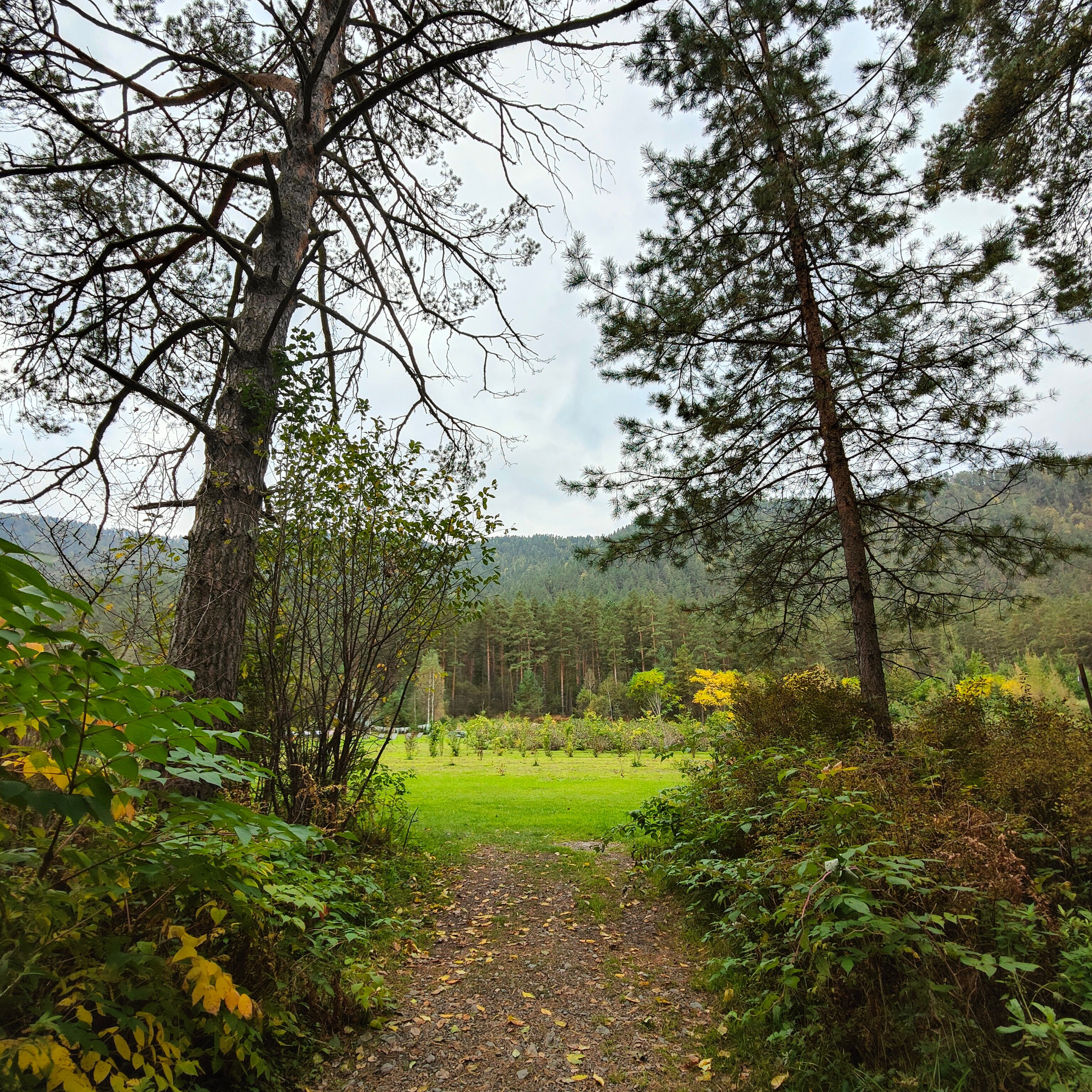 Ловим солнце, от Чемала до Камлака. Утренняя Катунь и осенний Ботанический сад. Фотограф-документалист Мария Осокина