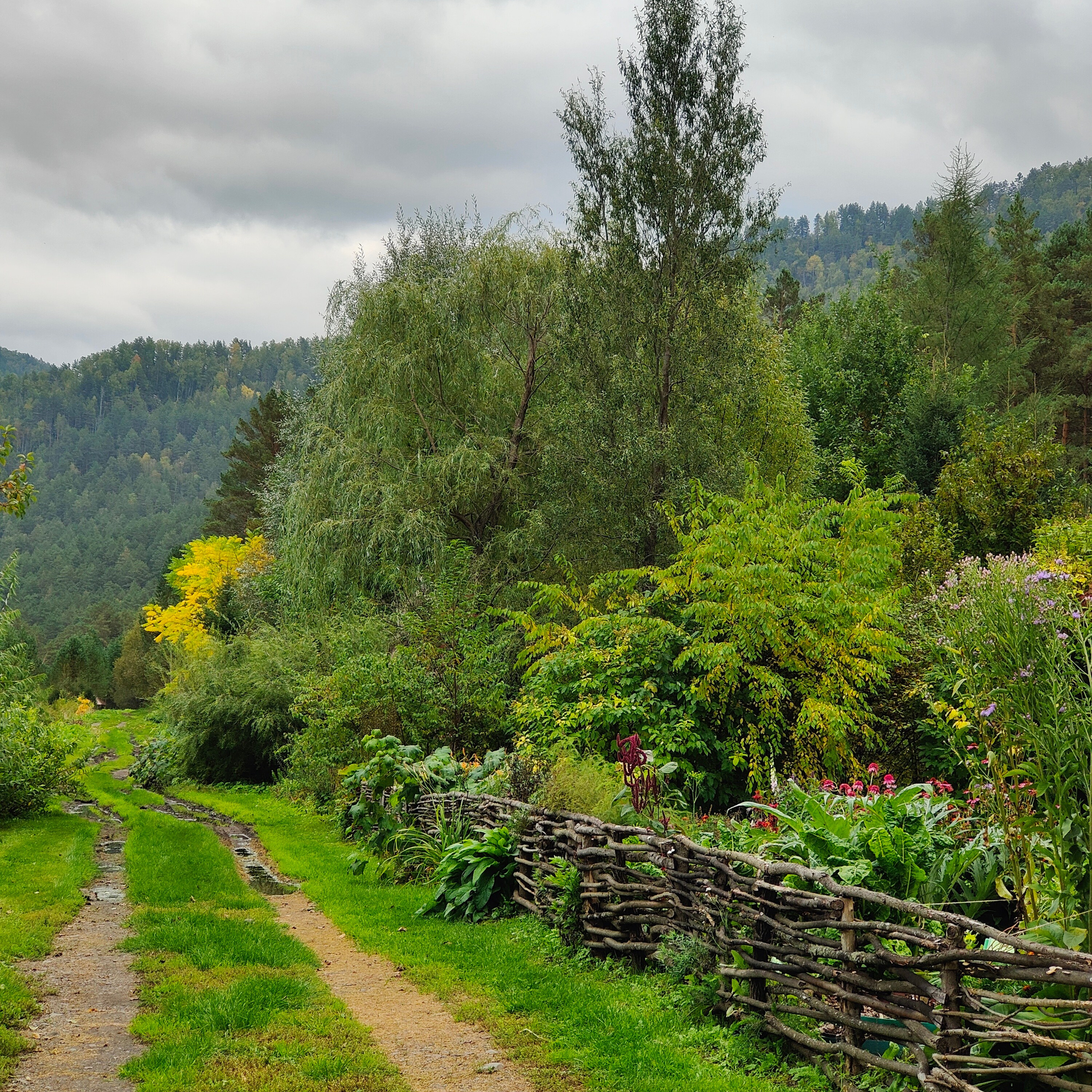 Ловим солнце, от Чемала до Камлака. Утренняя Катунь и осенний Ботанический сад. Фотограф-документалист Мария Осокина