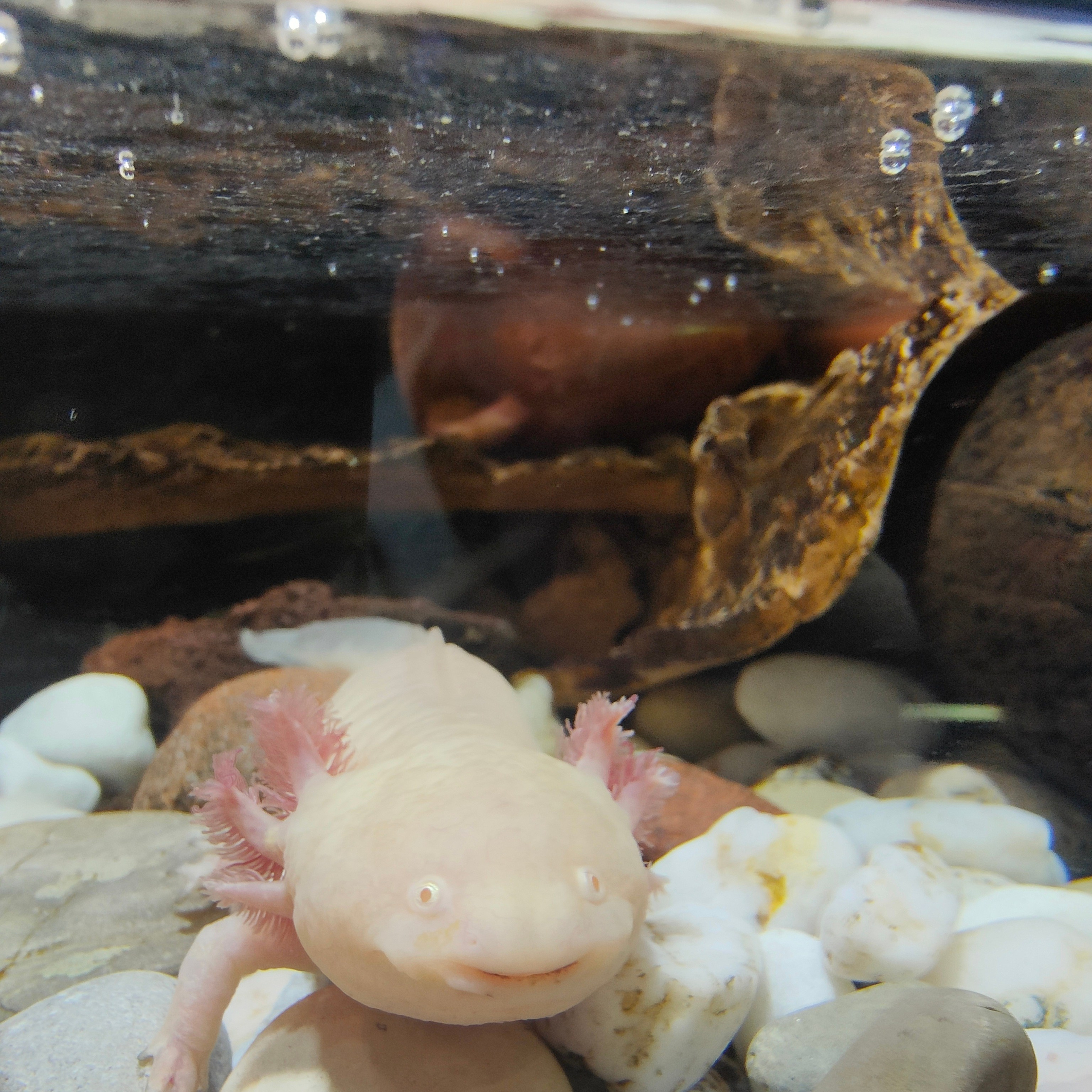 Культурная программа в дождливый день. Фотограф-документалист Мария Осокина