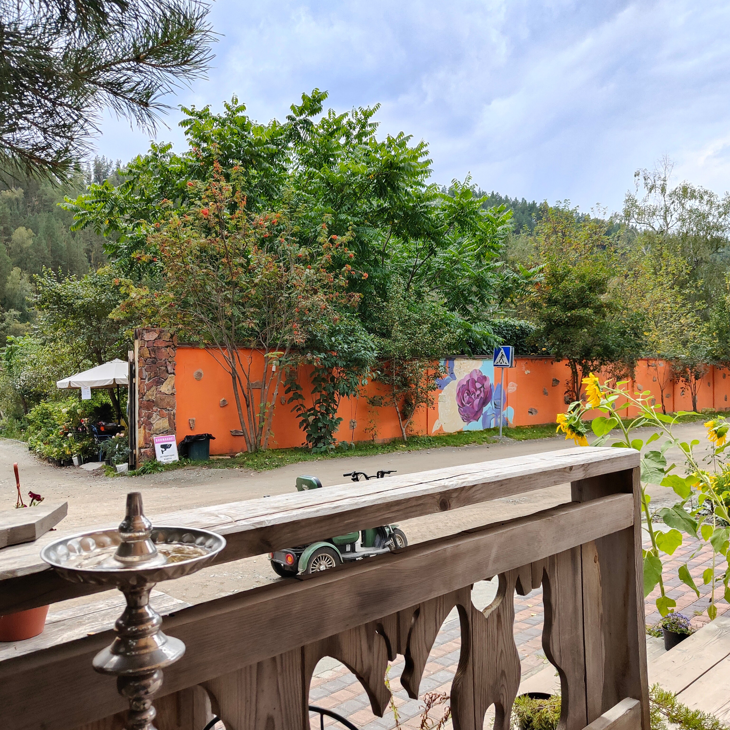 По Чемальскому тракту от Кедрового острова до реки Куюм. Фотограф-документалист Мария Осокина