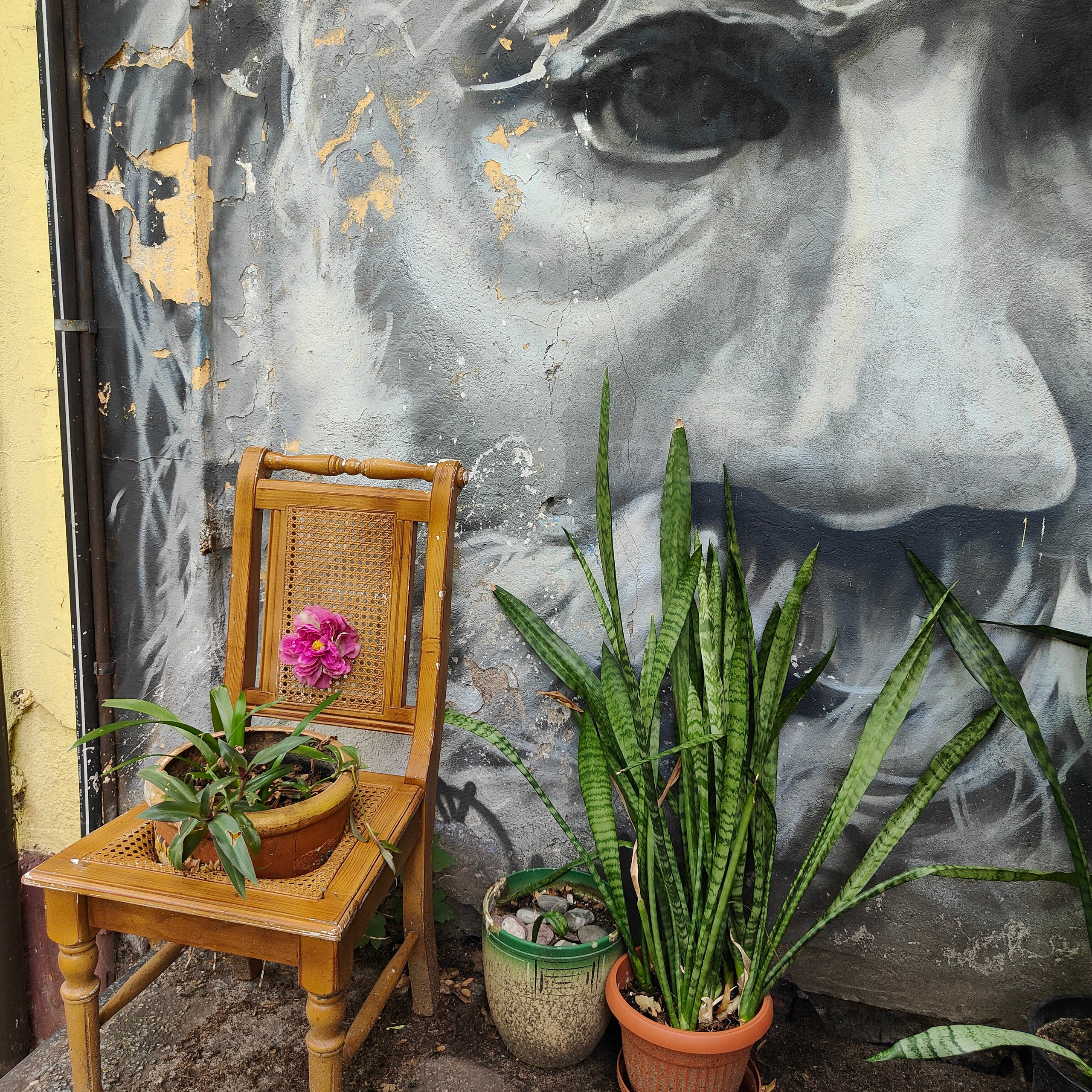 Калининградский стрит. От Amalienau Breakfast до кафе Толстой. Фотограф-документалист Мария Осокина