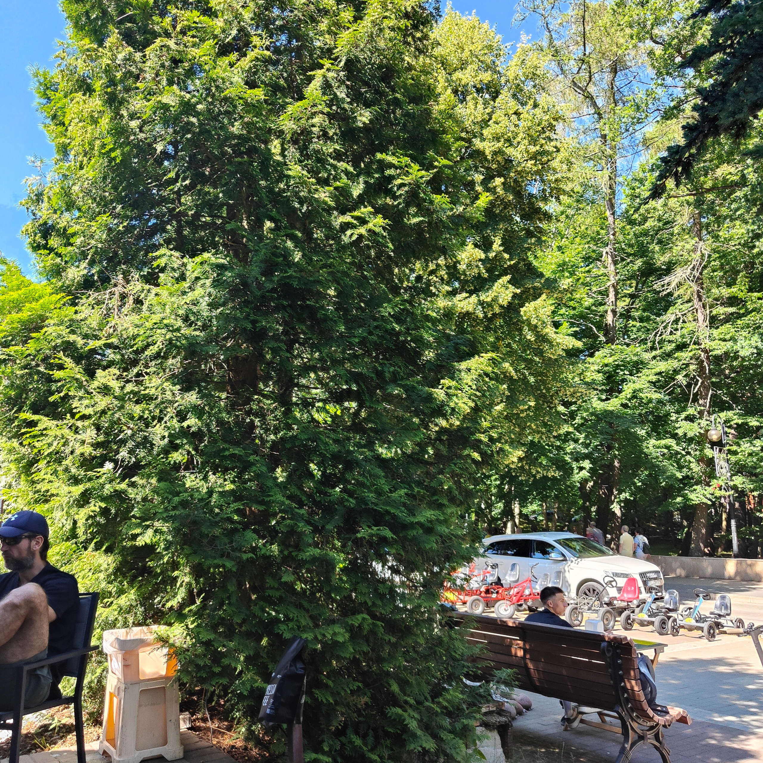 Светлогорск, озеро Тихое и волшебный закат. Фотограф-документалист Мария Осокина