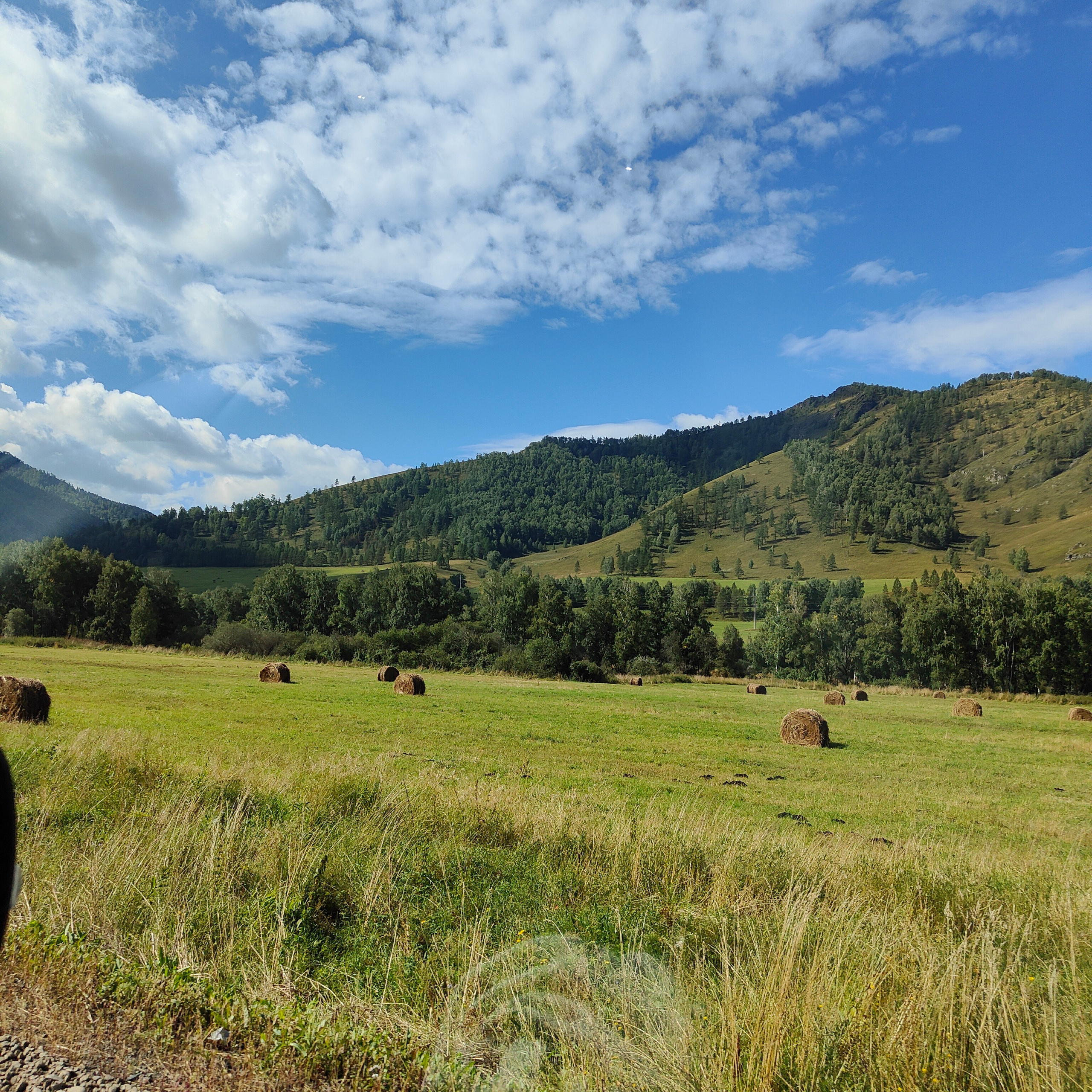 Дорога на Семинский перевал. Фотограф-документалист Мария Осокина