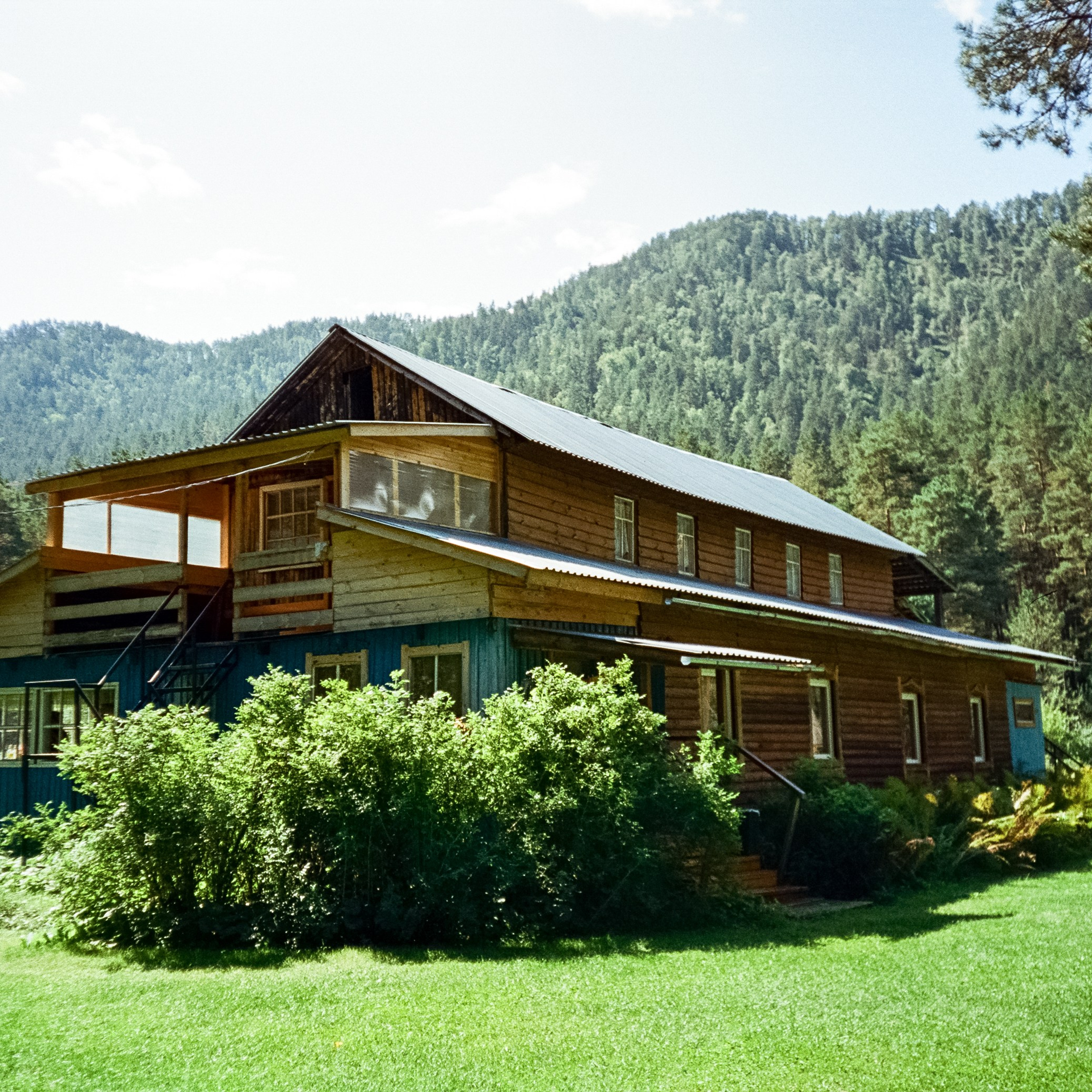 Ботанический сад в солнечный день