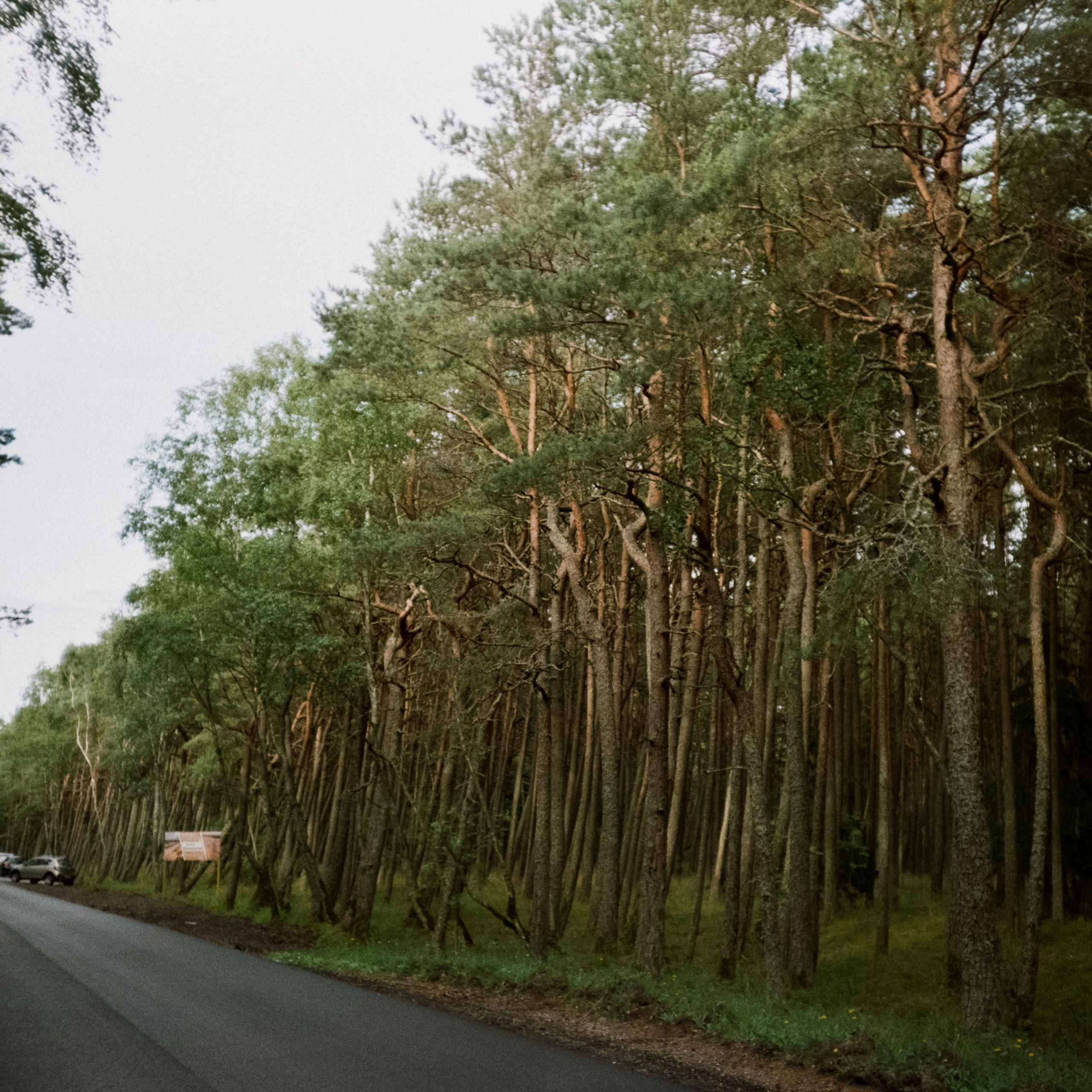 Куршская коса. Море и дюны. Фотограф-документалист Мария Осокина