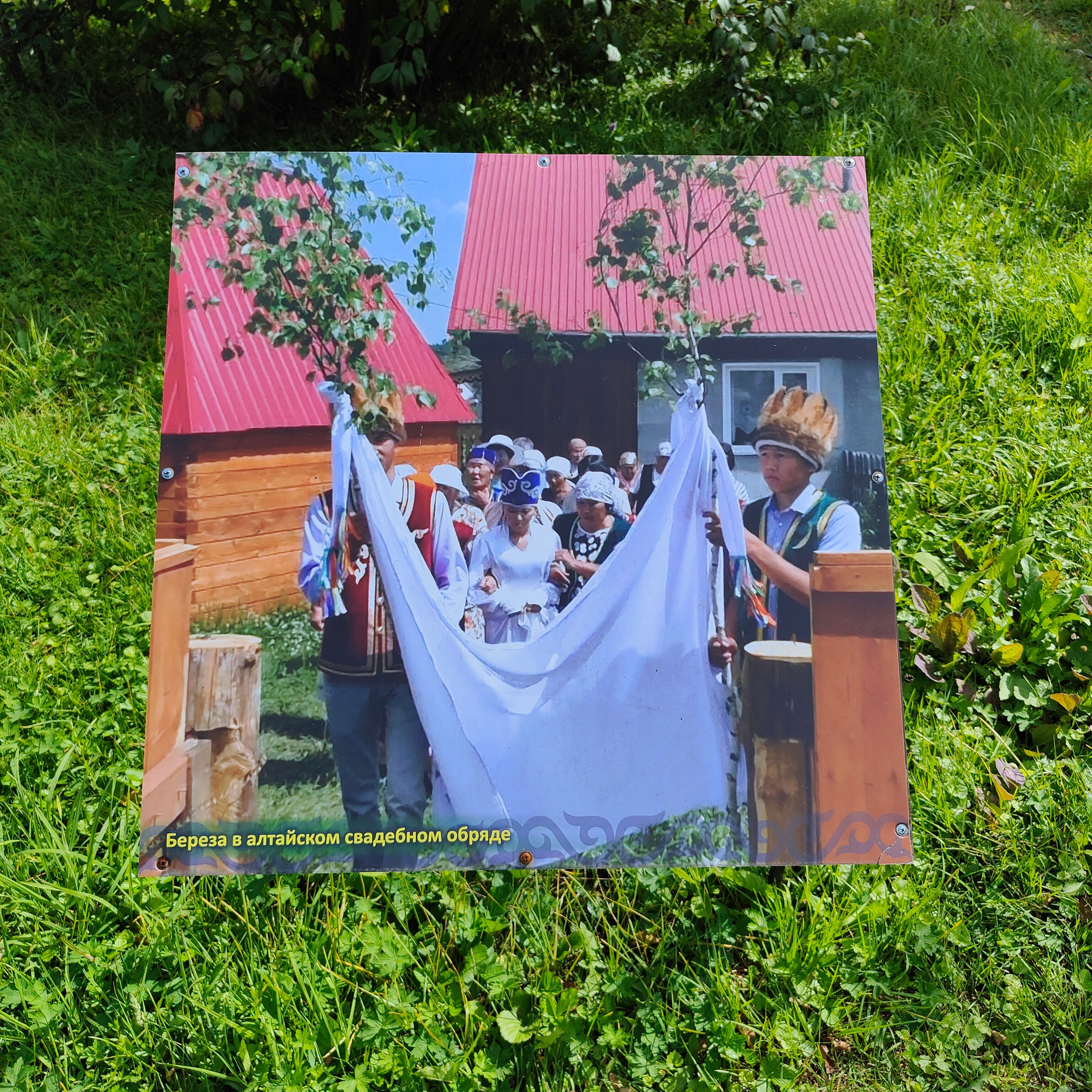 Ботанический сад и Шаманская поляна. Фотограф-документалист Мария Осокина