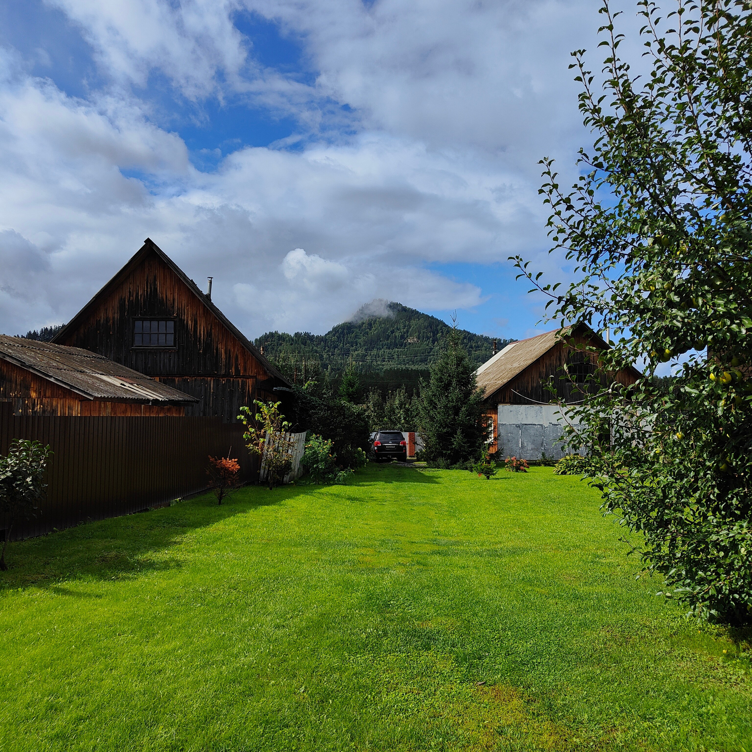 Солнечные кадры сквозь ливень. Фотограф-документалист Мария Осокина