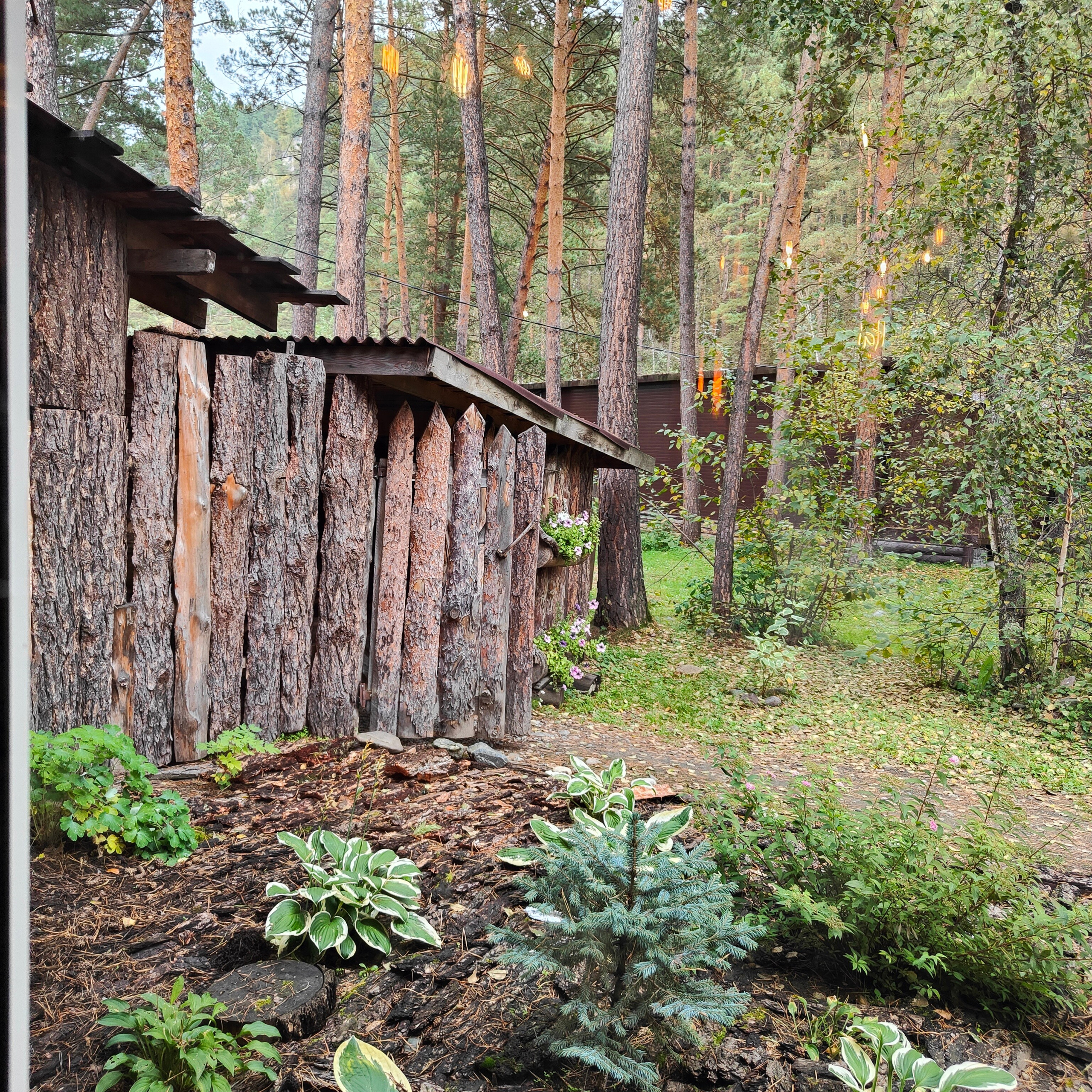 По любимым местам, куда зовет Алтай. Фотограф-документалист Мария Осокина