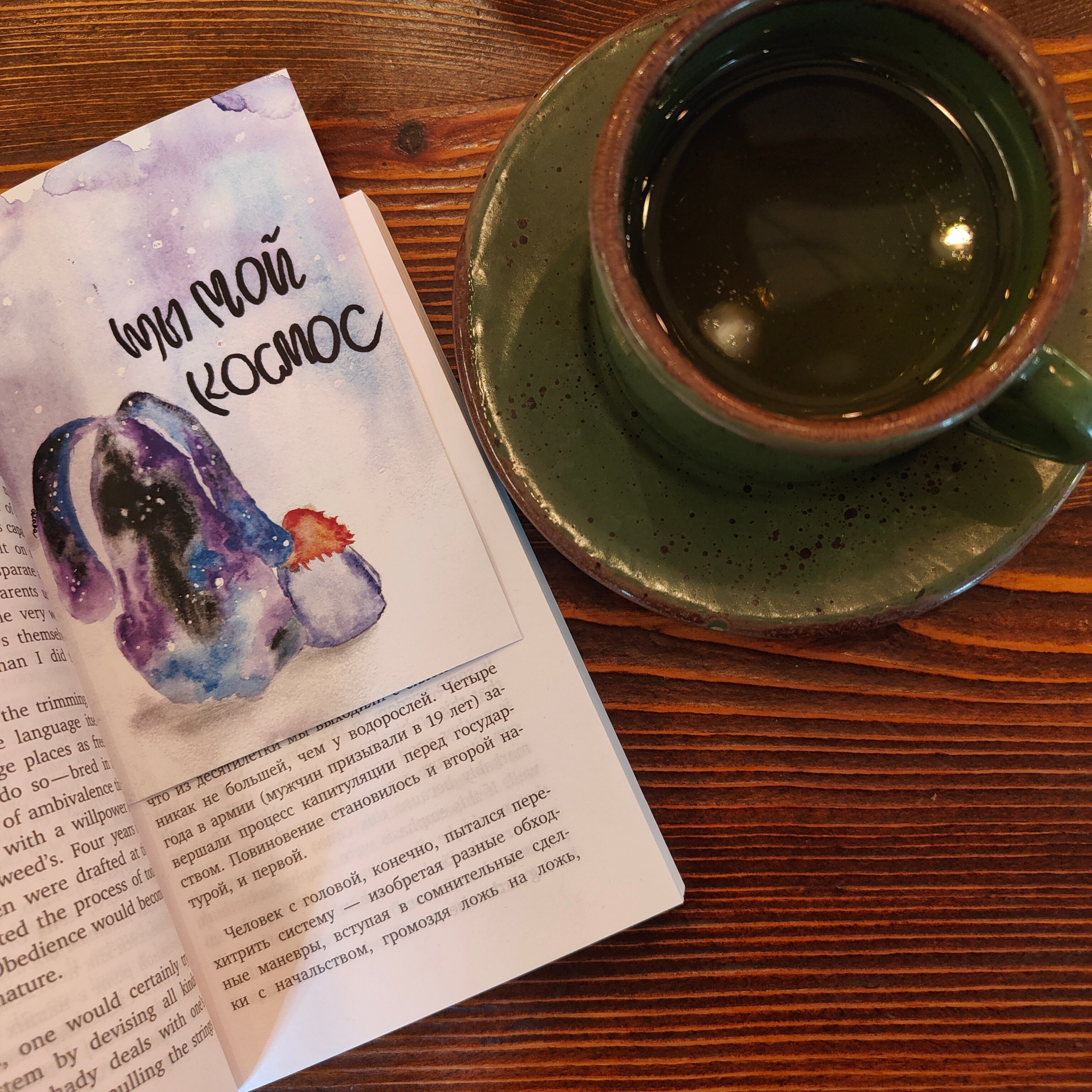 Панорамы Катуни и река Сема в Ботаническом саду. Фотограф-документалист Мария Осокина