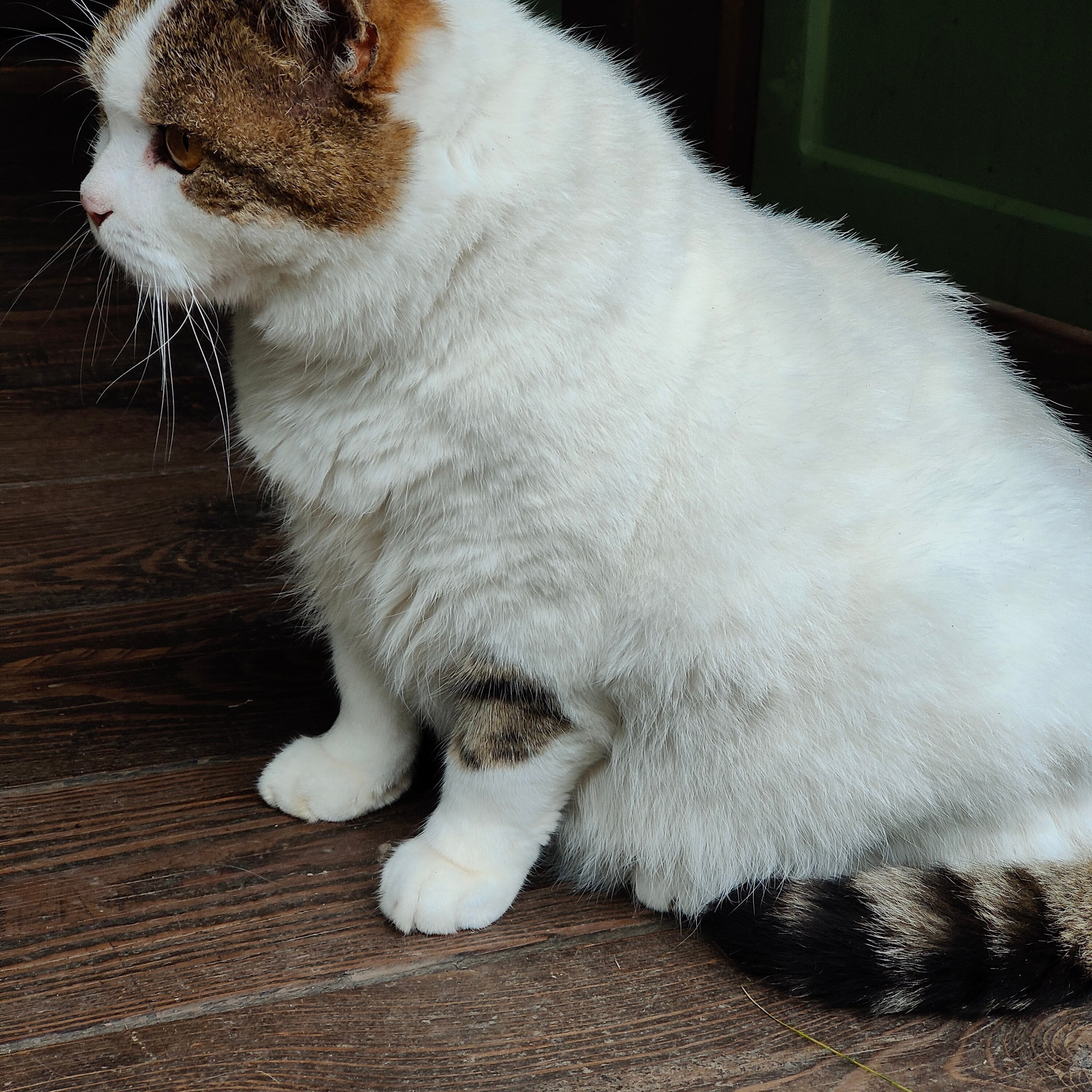 Курорт Манжерок, поход к Золотой Бабе и кофе в Берендеевке. Фотограф-документалист Мария Осокина