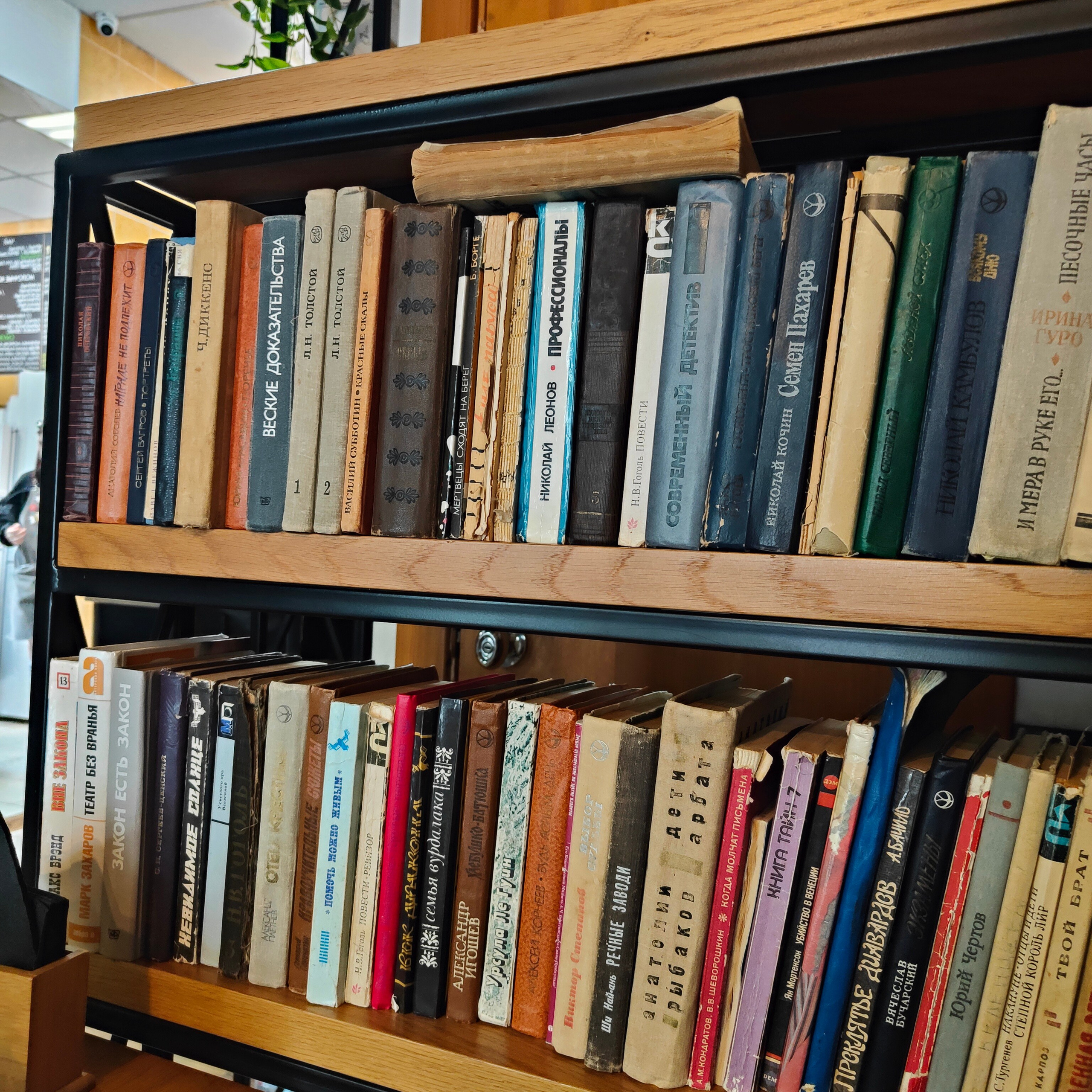 Паркур в Кисловодске и стрит в Ессентуках. Фотограф-документалист Мария Осокина