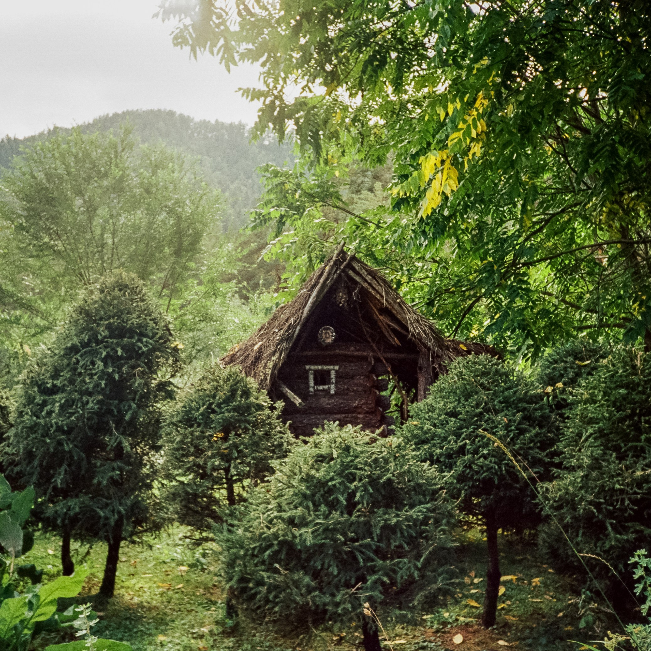 Ботанический сад и река Сема