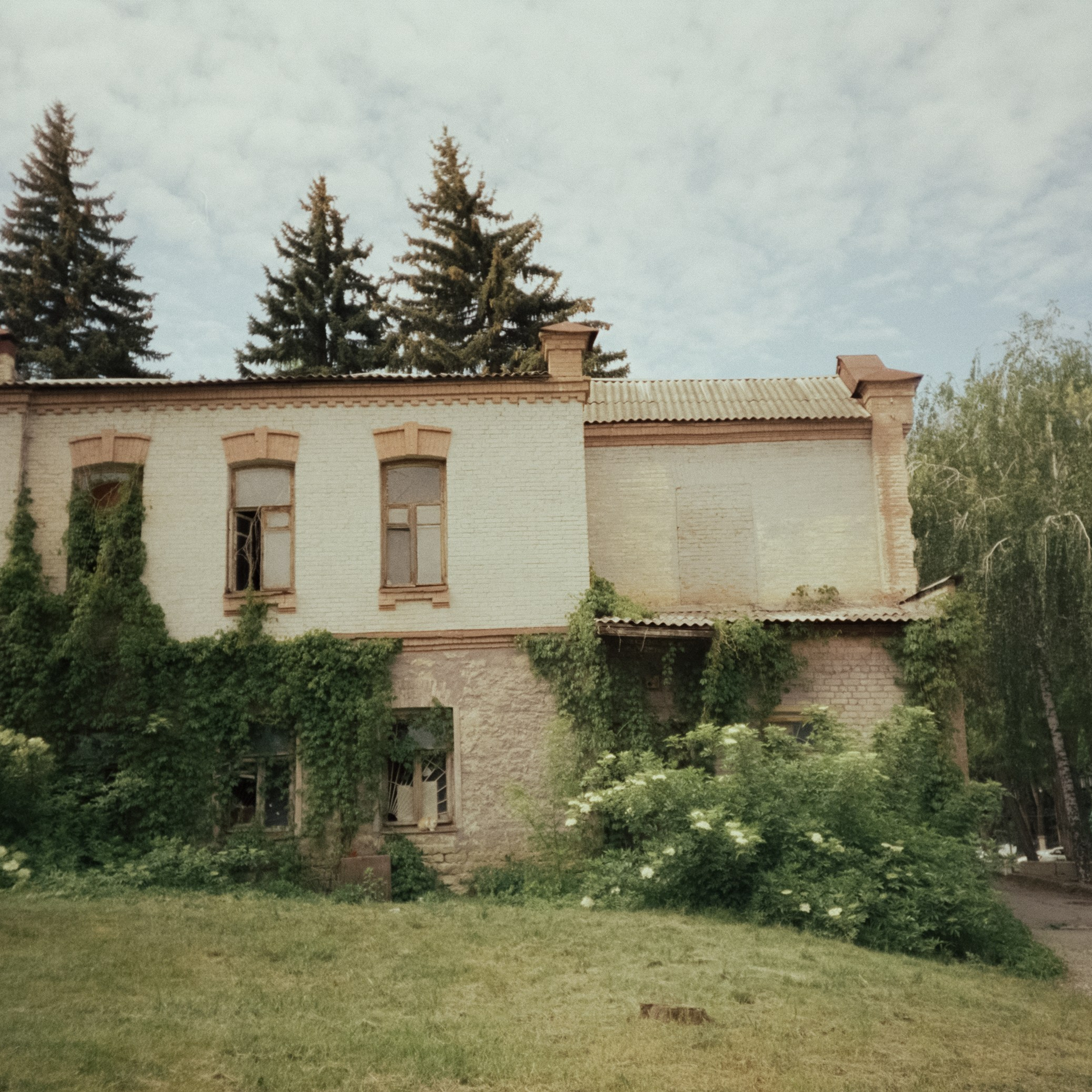 Стрит в Ессентуках. Дворики, дома и кот в окне