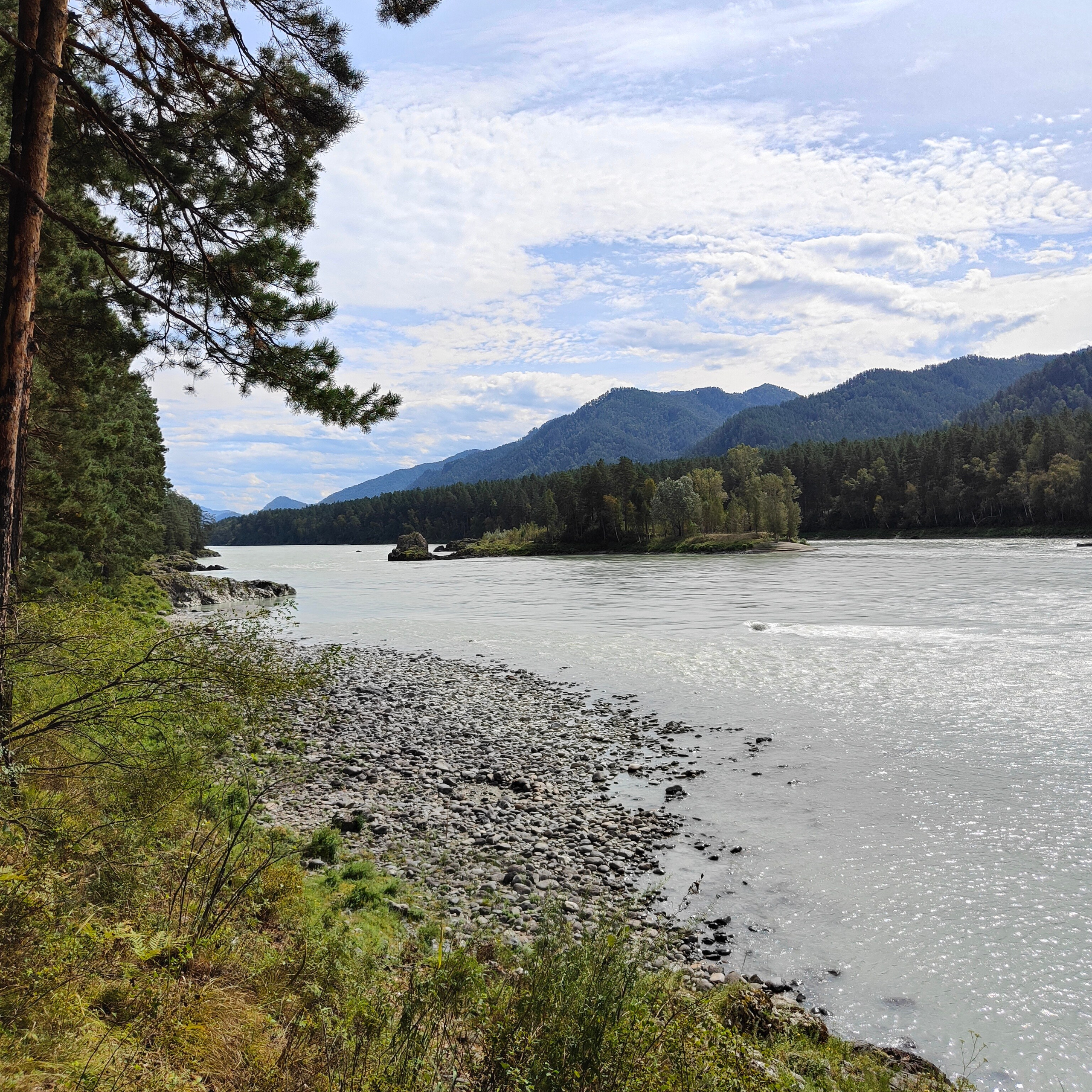 По Чемальскому тракту от Кедрового острова до реки Куюм. Фотограф-документалист Мария Осокина