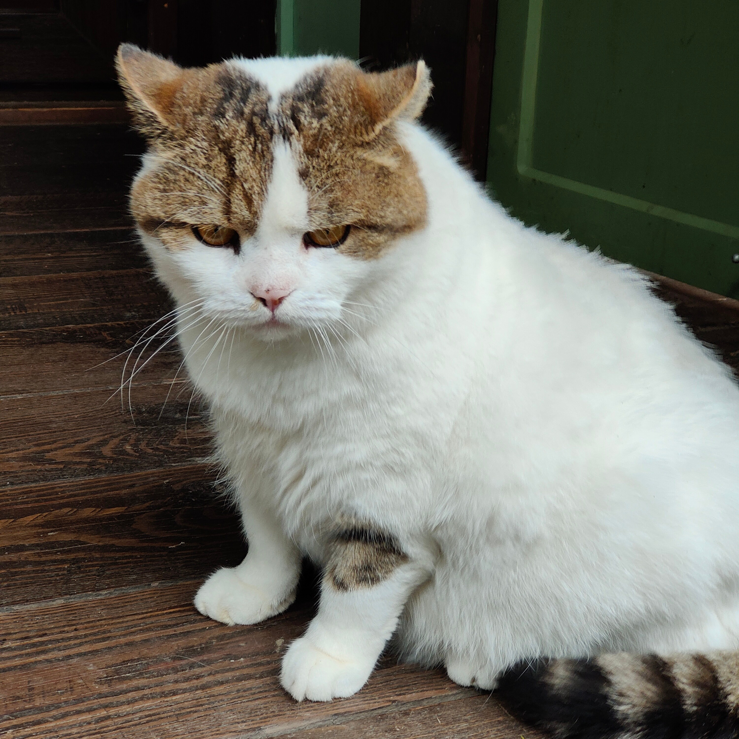 Курорт Манжерок, поход к Золотой Бабе и кофе в Берендеевке. Фотограф-документалист Мария Осокина