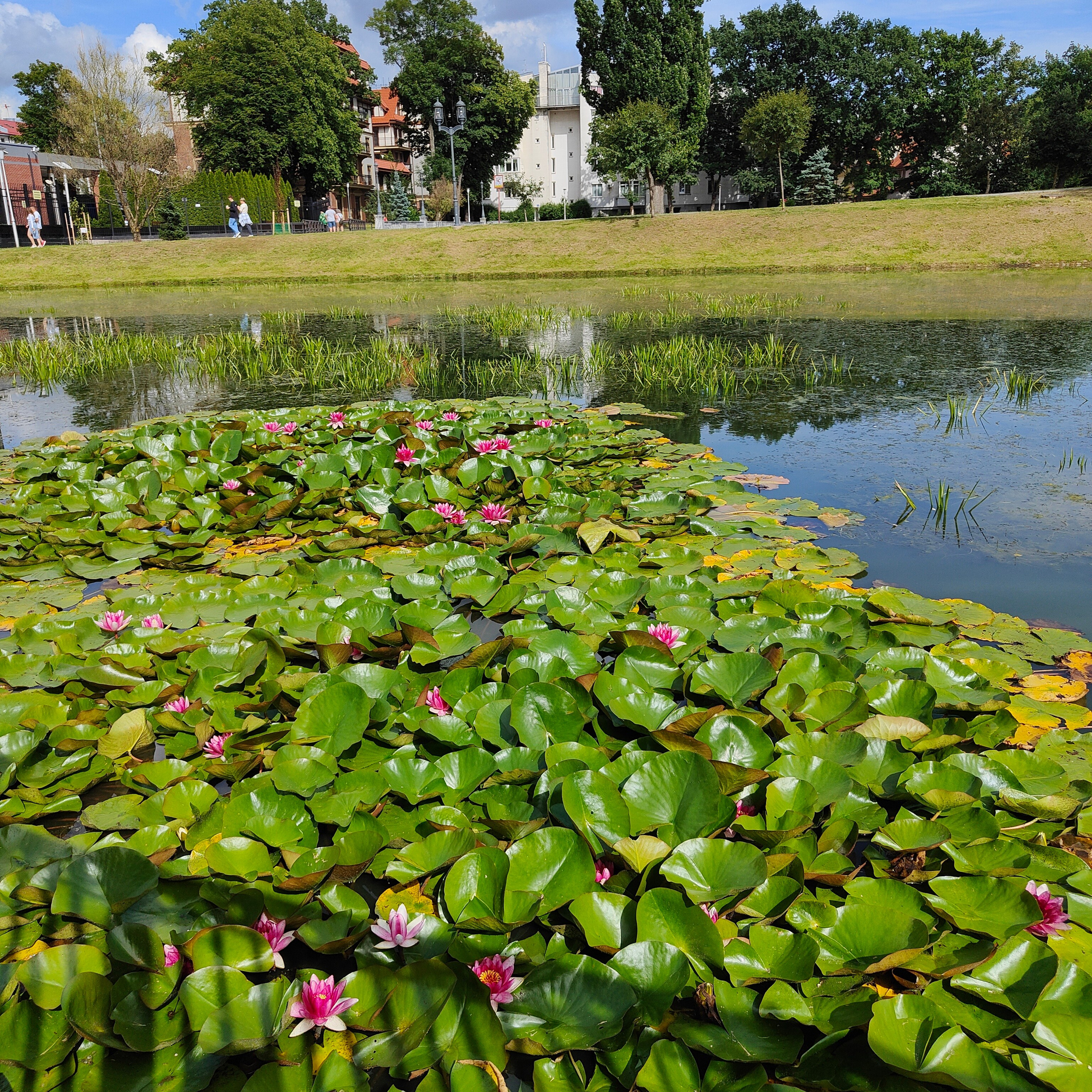 Калиниградский стрит. Новая пленка, Ricoh GR-10 и любимое кафе. Фотограф-документалист Мария Осокина
