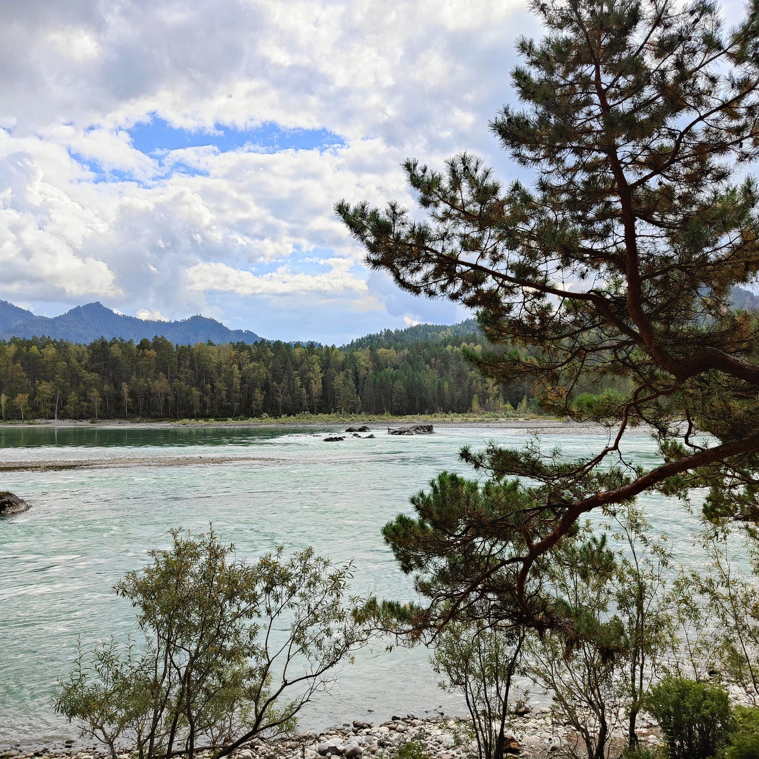 Ловим солнце, от Чемала до Камлака. Утренняя Катунь и осенний Ботанический сад. Фотограф-документалист Мария Осокина