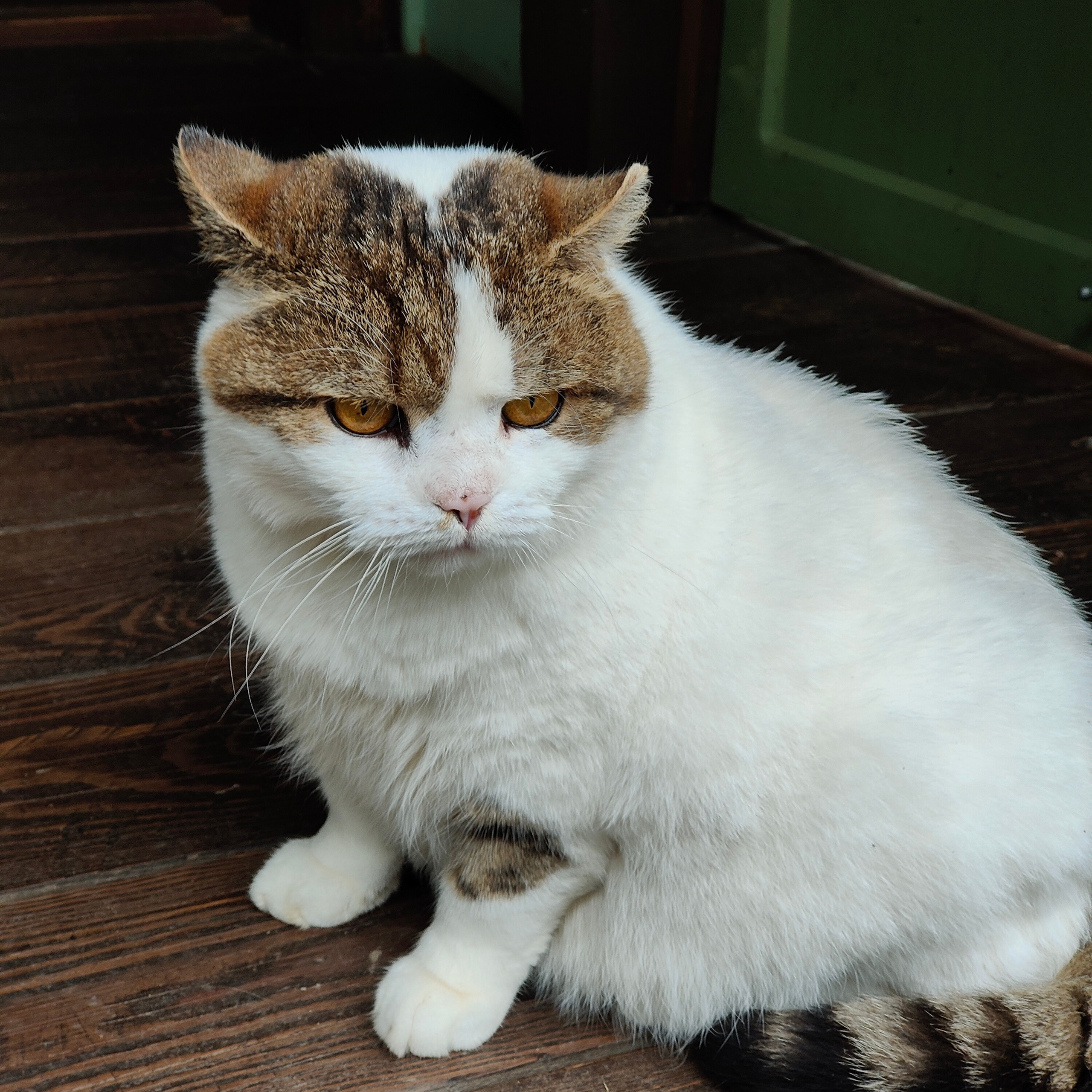 Курорт Манжерок, поход к Золотой Бабе и кофе в Берендеевке. Фотограф-документалист Мария Осокина